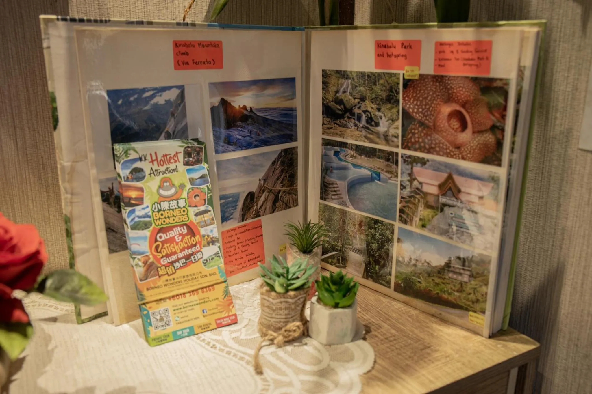 Escape Backpackers KK