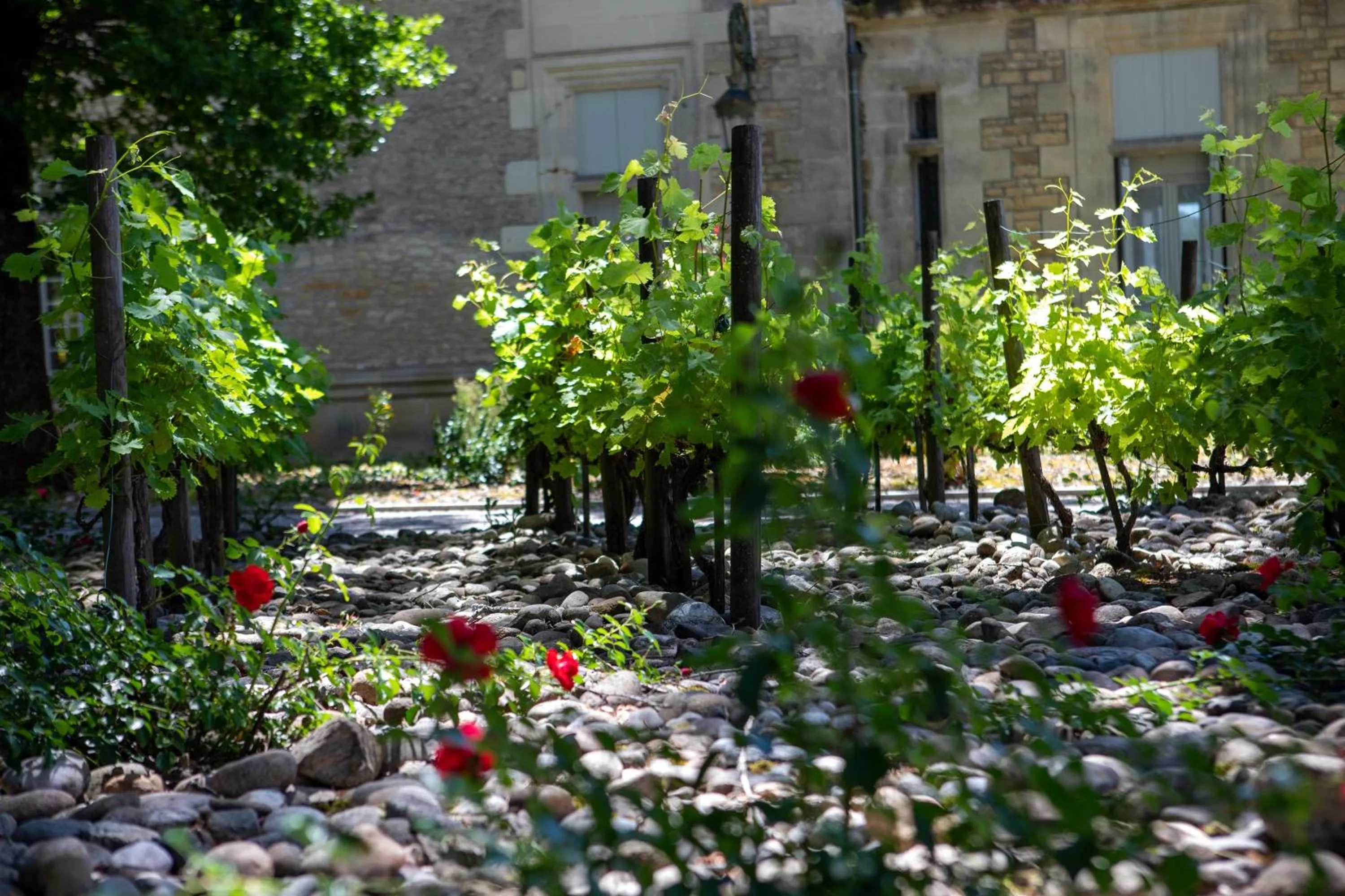Garden in Domaine de Monrecour - Hôtel & Restaurant - Proche de Sarlat