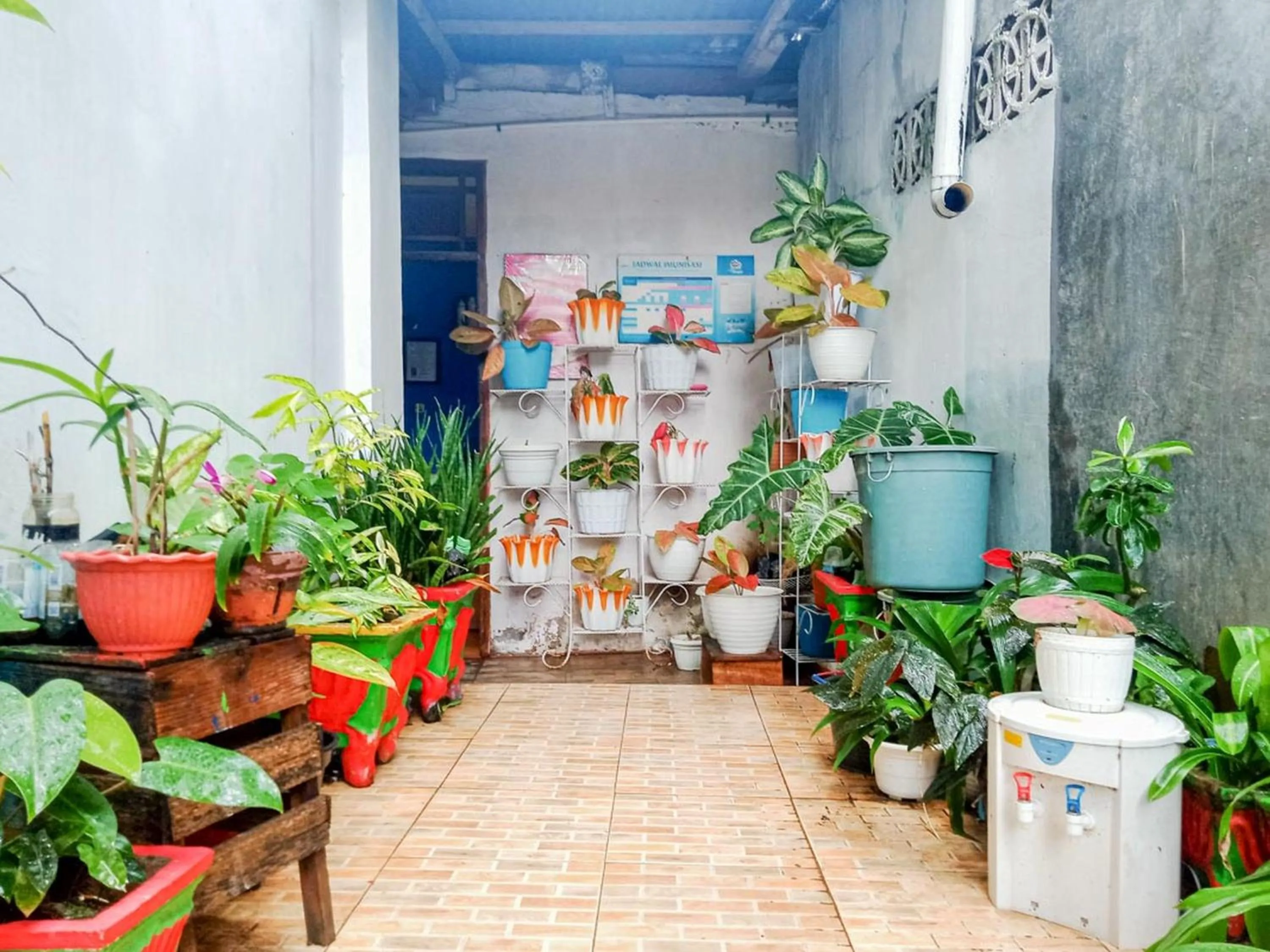 Garden in Homestay Awal Fajar Syariah Bulukumba