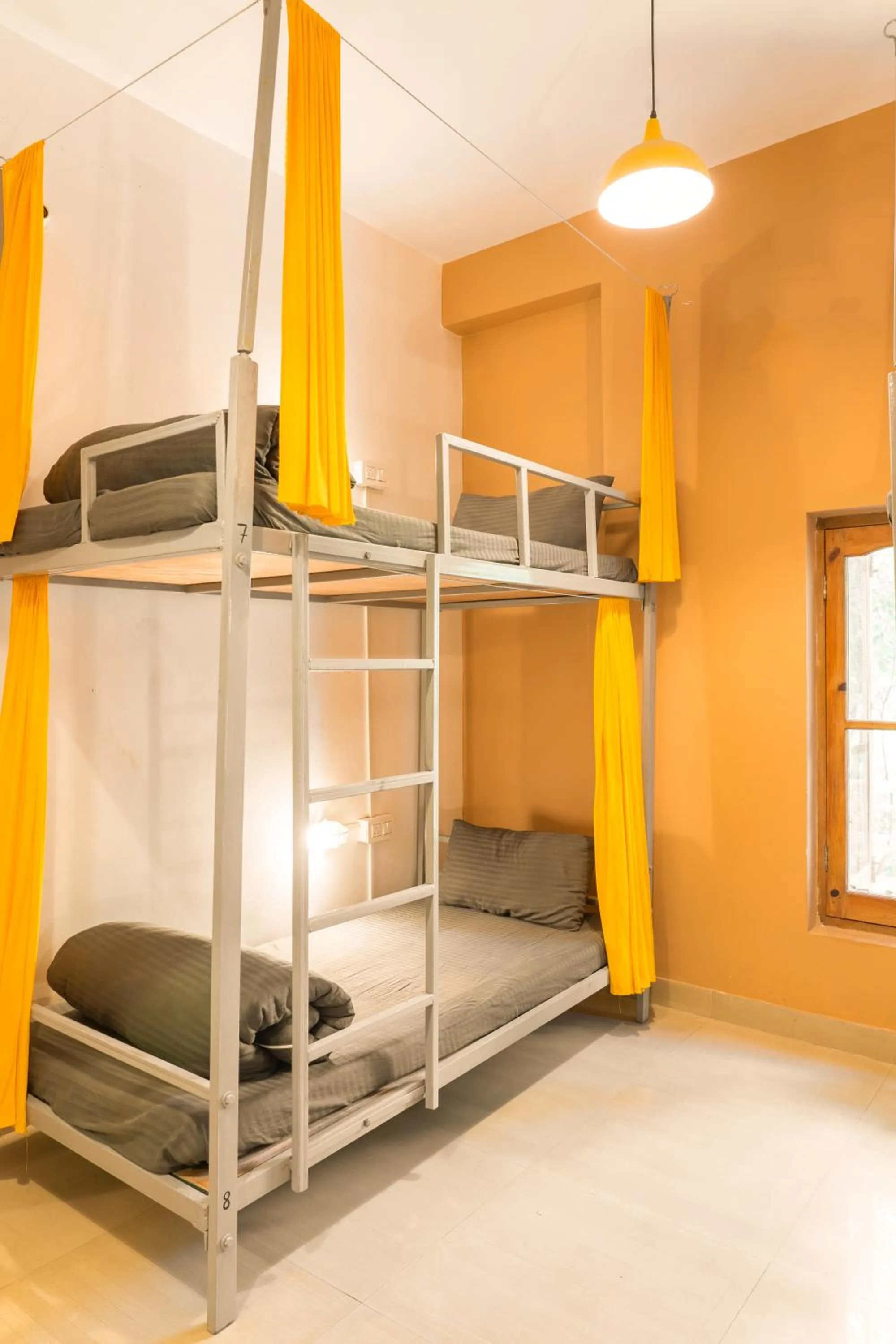 bunk bed, Bed in Whoopers Hostel Bir