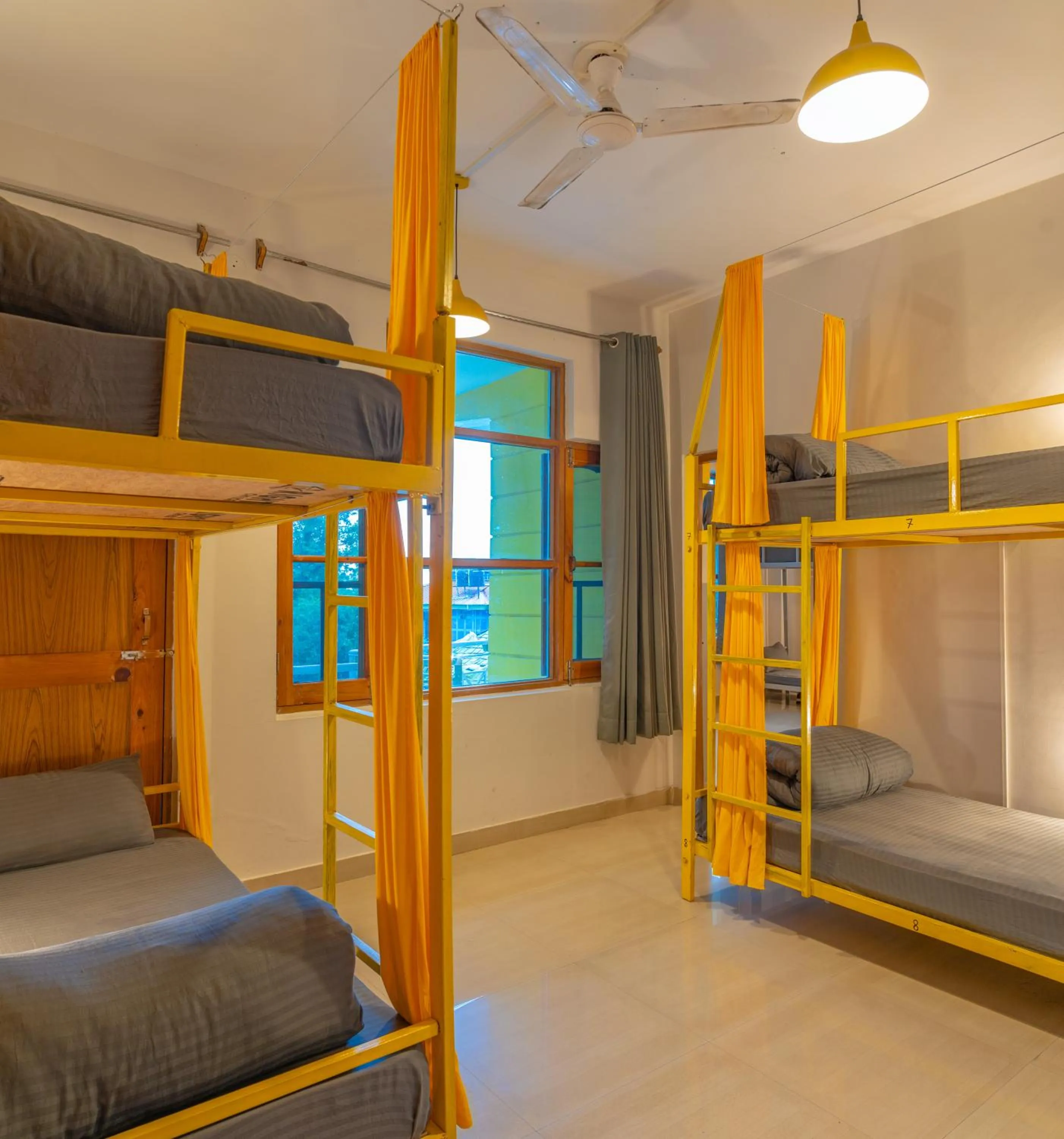 bunk bed, Bed in Whoopers Hostel Bir