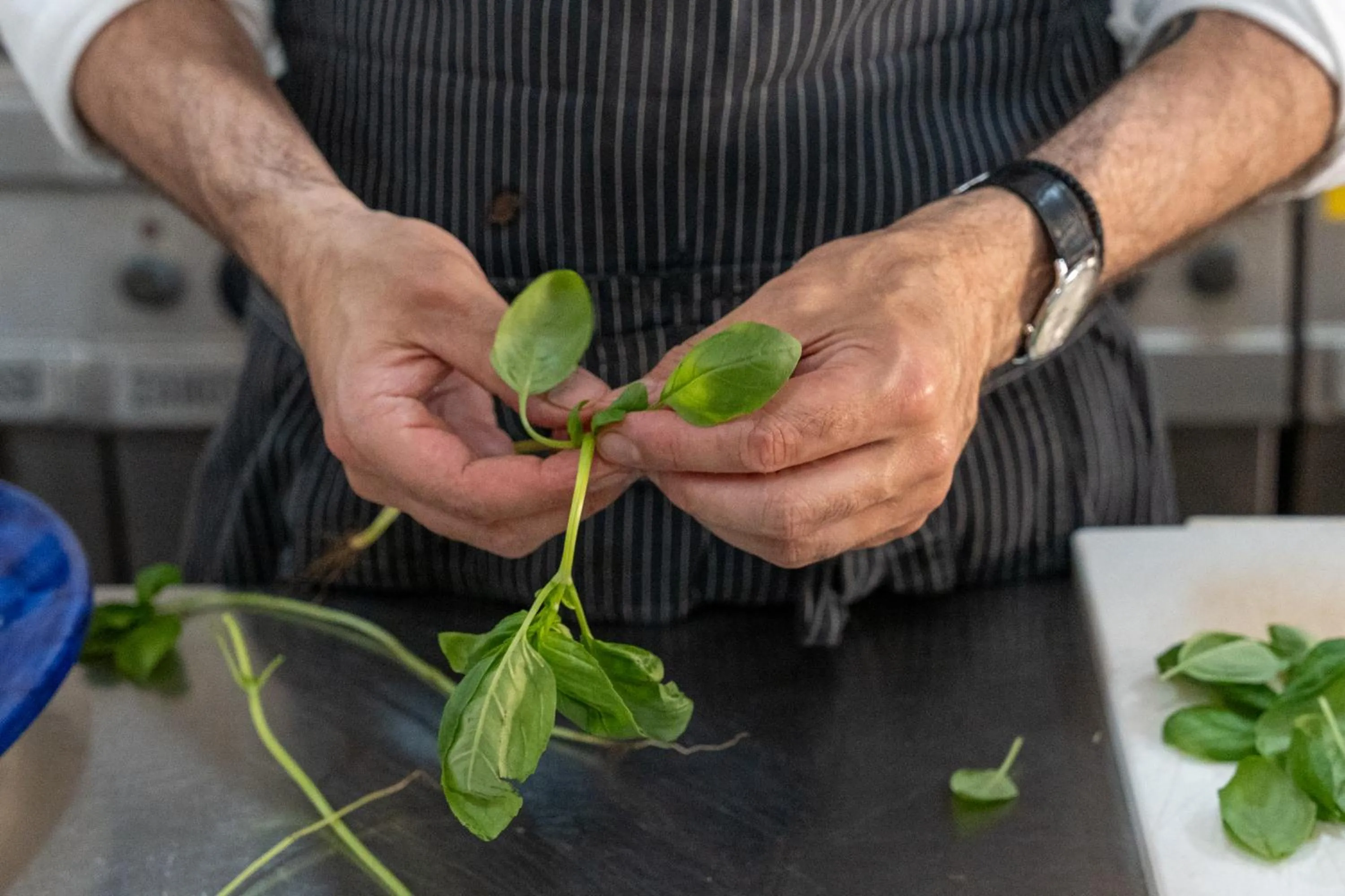 Food in Hotel San Michele