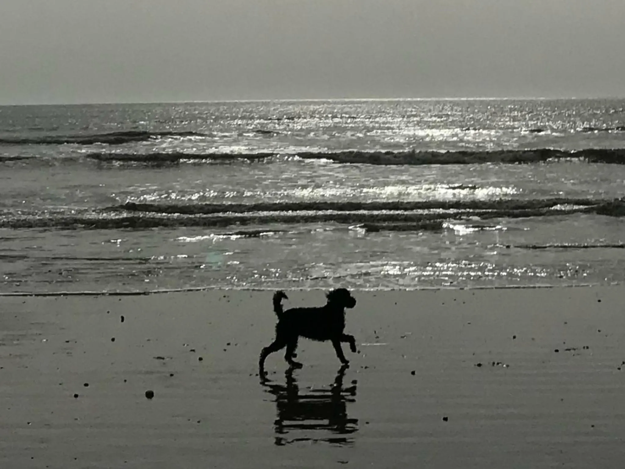 Neighbourhood in The Old Coastguard House