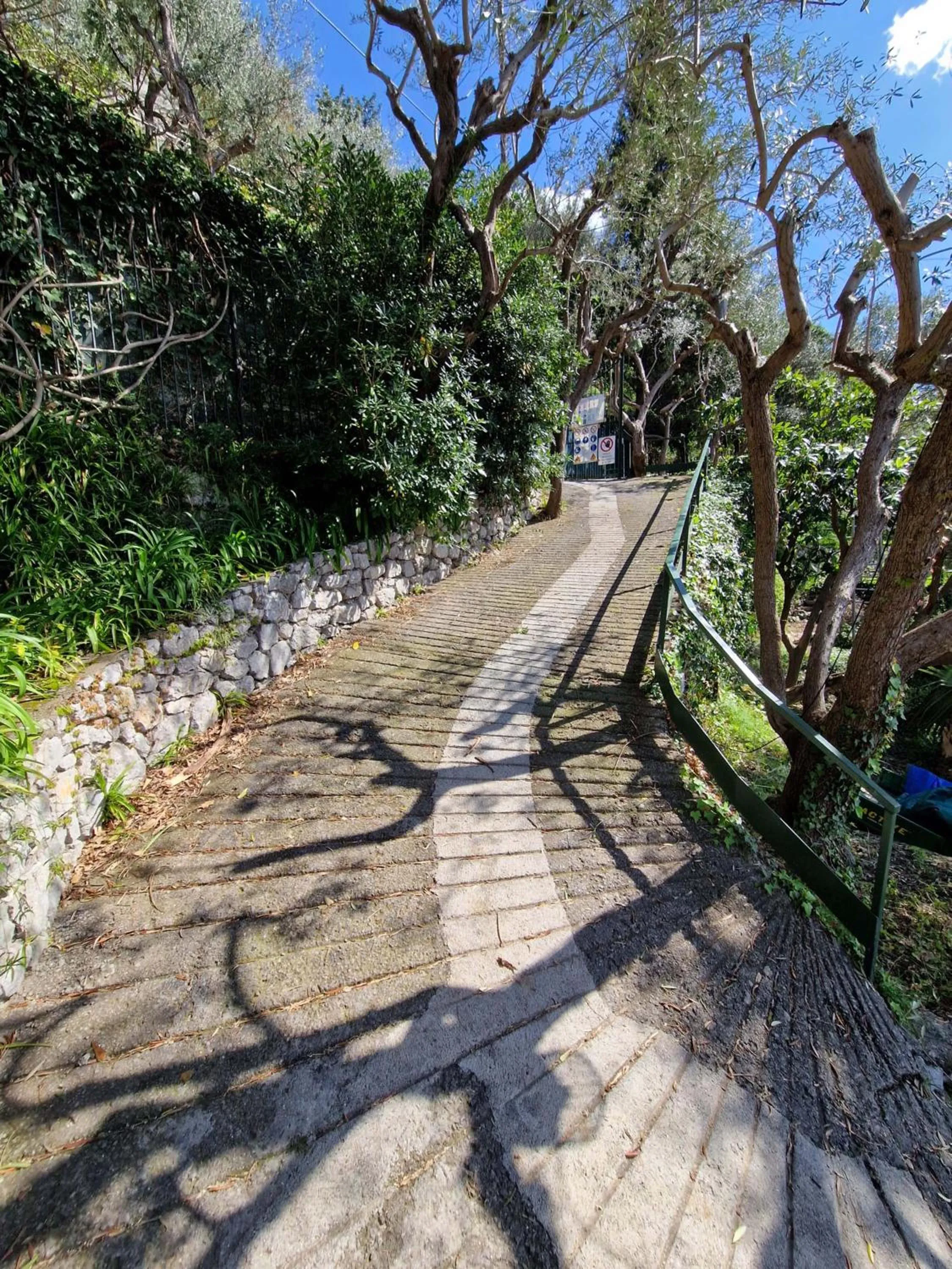 Garden in Amore Rentals - Villa Lo Scoglio