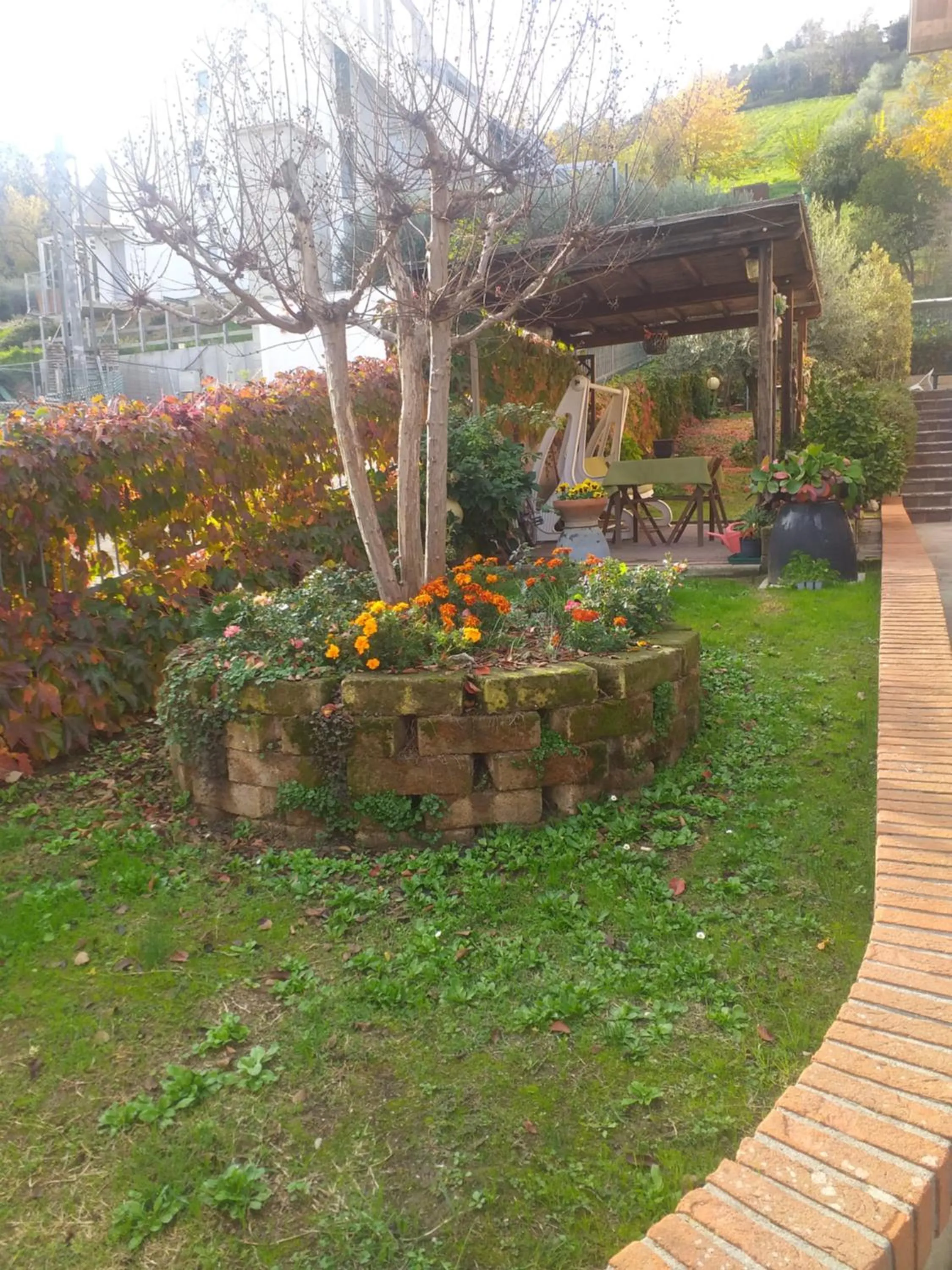 Autumn in B&B le Villette Predappio