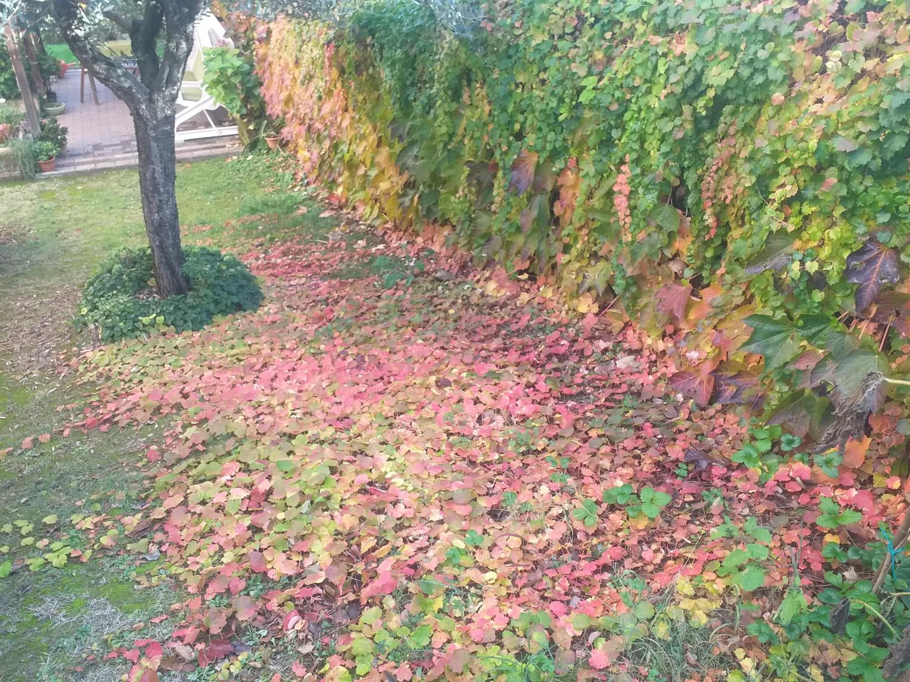 Autumn in B&B le Villette Predappio
