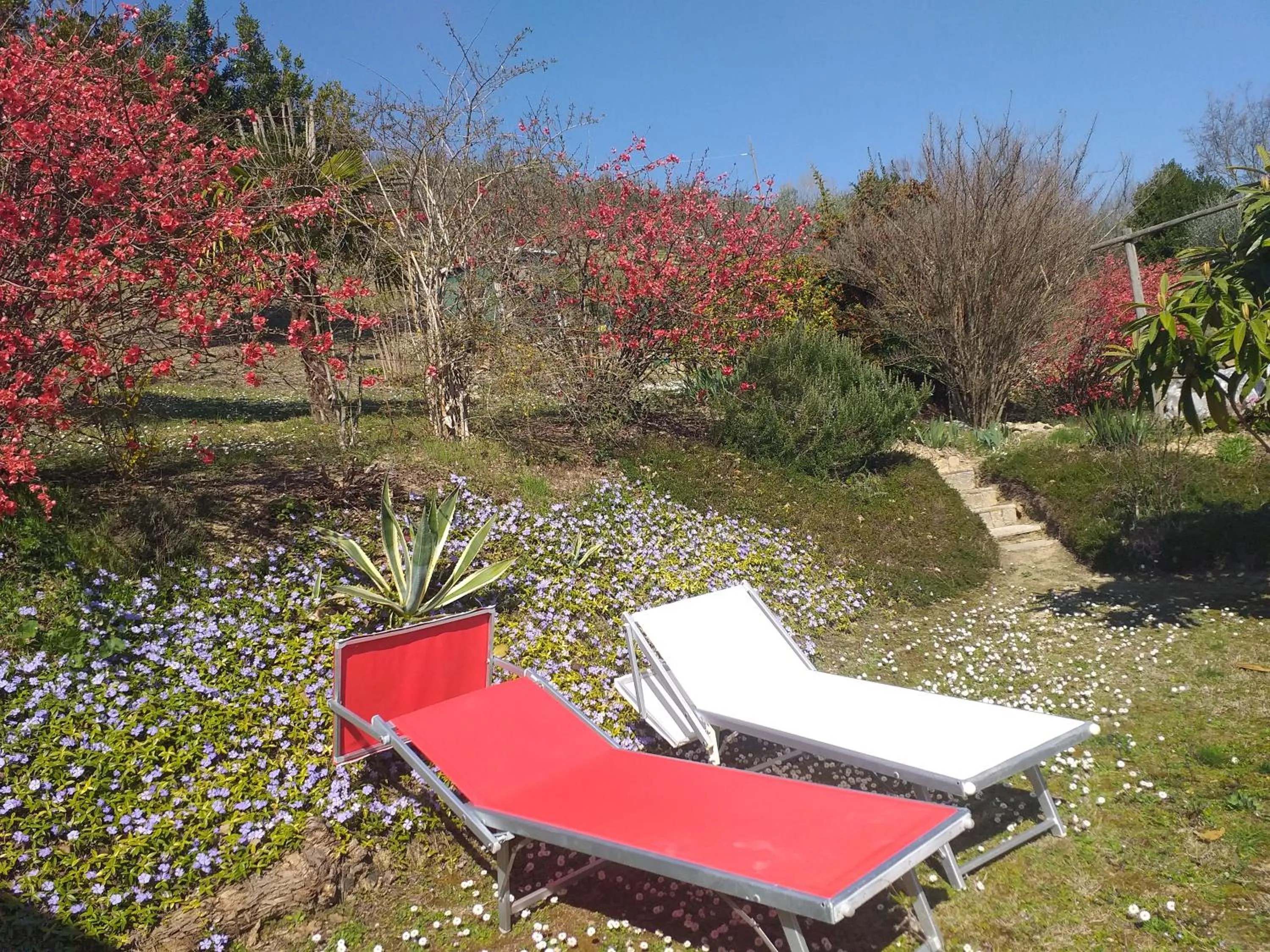 Garden view in B&B le Villette Predappio