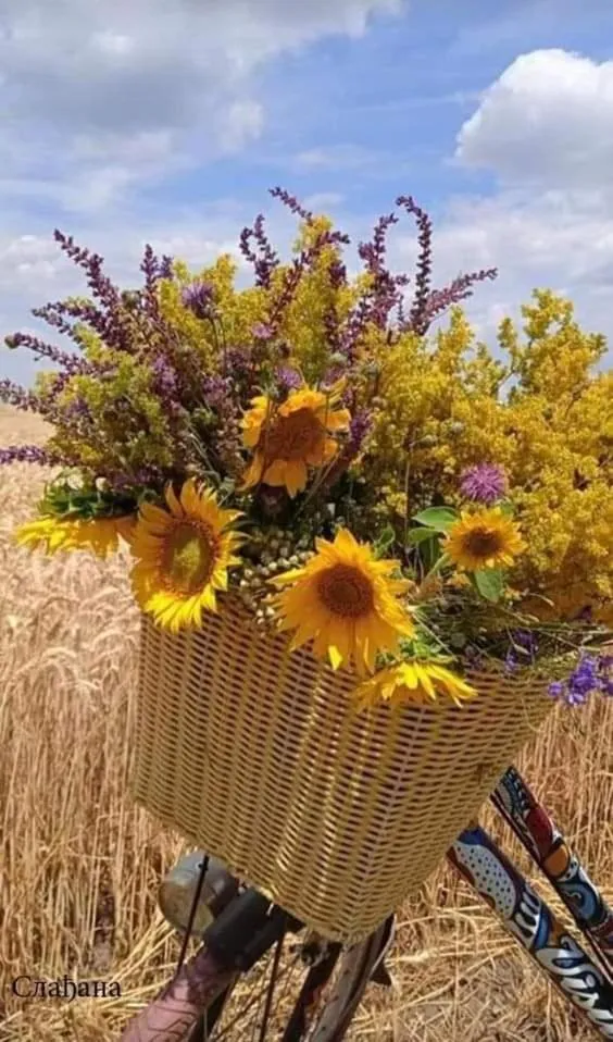 Au jardin de la Maison des Soeurs