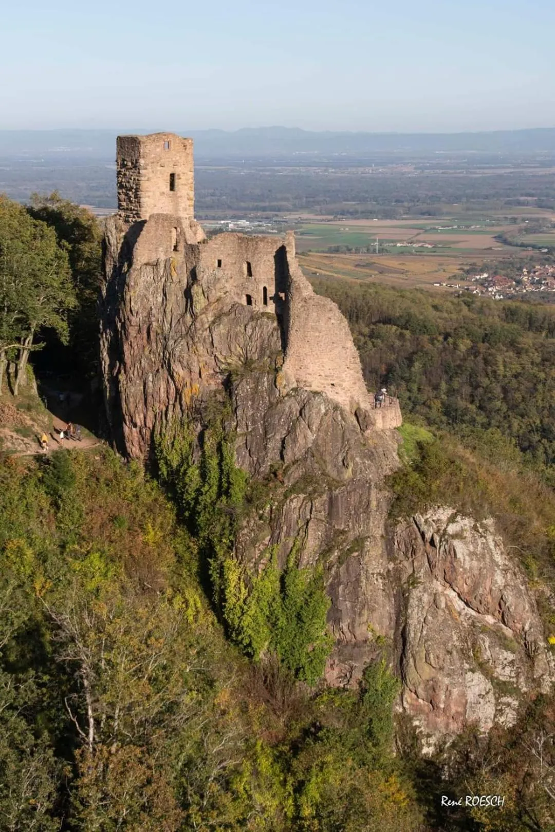 Other in Au jardin de la Maison des Soeurs