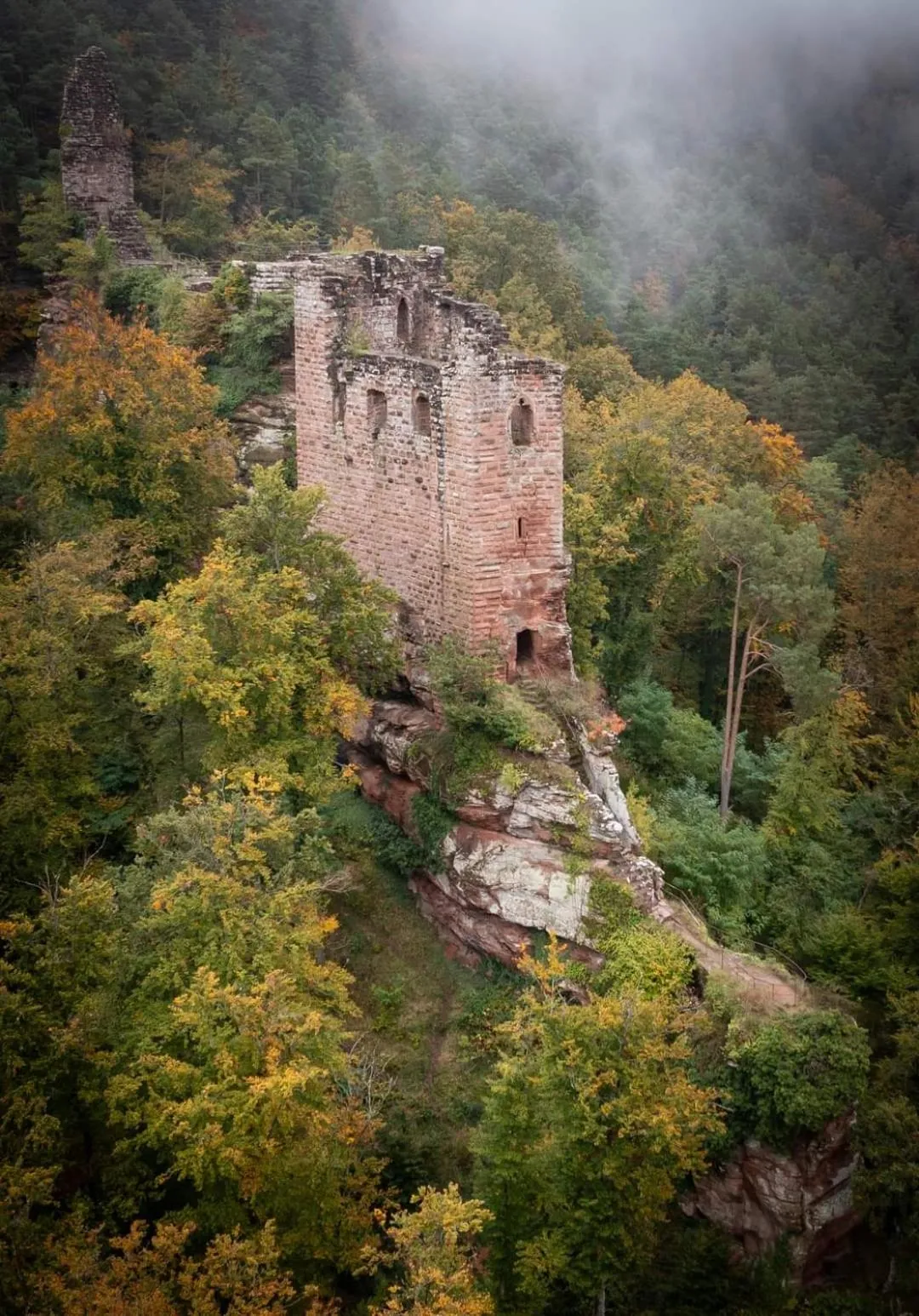 Other in Au jardin de la Maison des Soeurs