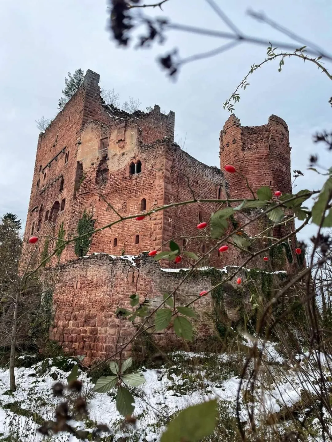 Other in Au jardin de la Maison des Soeurs