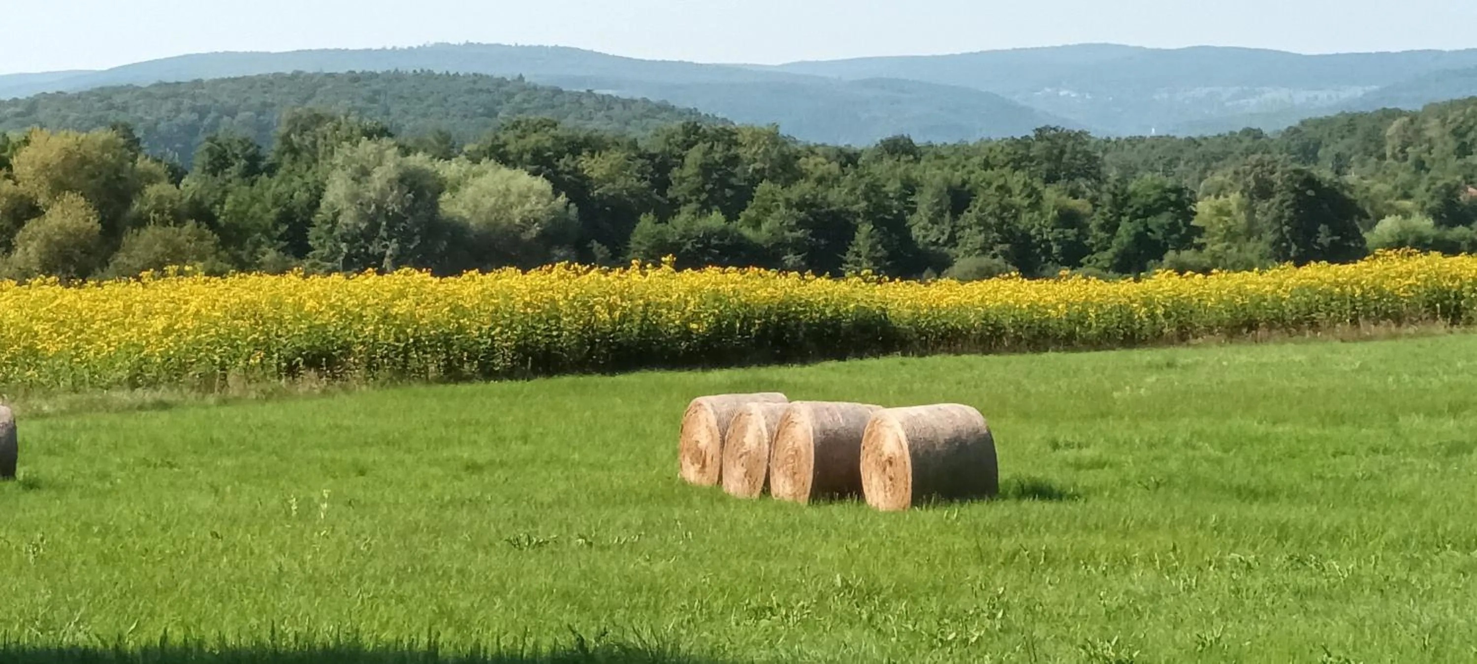 Day in Au jardin de la Maison des Soeurs