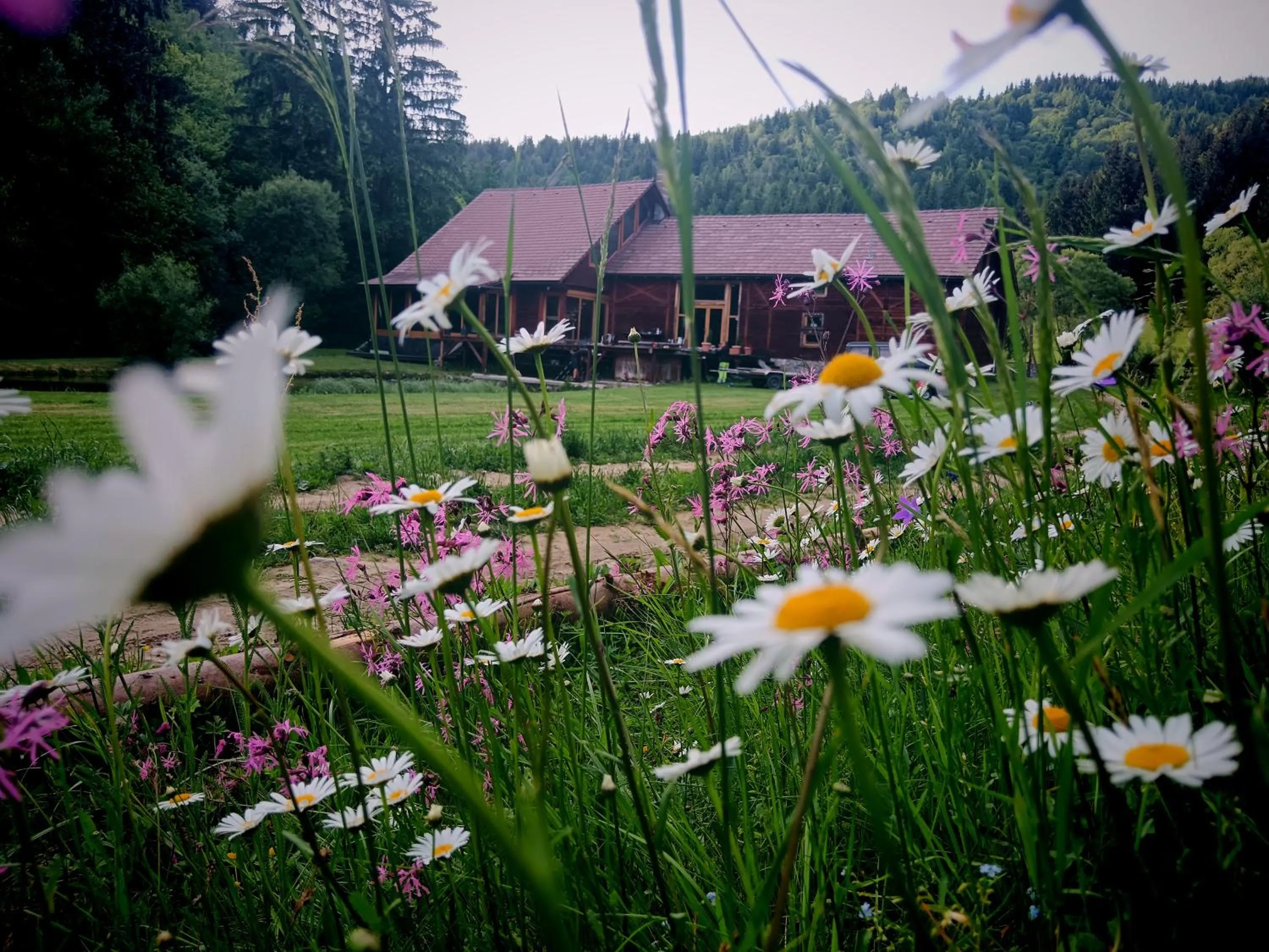 Crossline Lodge