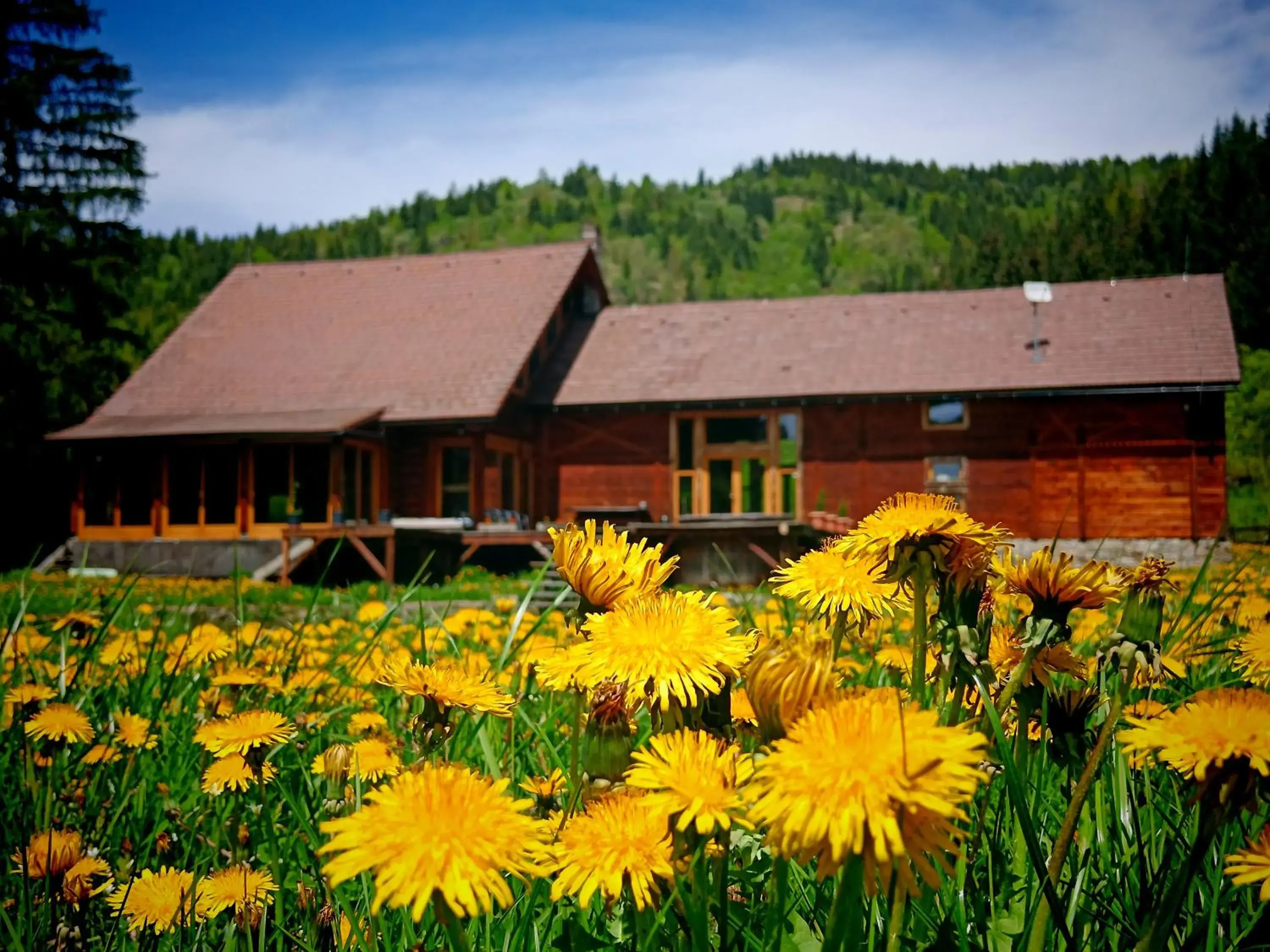 Crossline Lodge Crossline Lodge