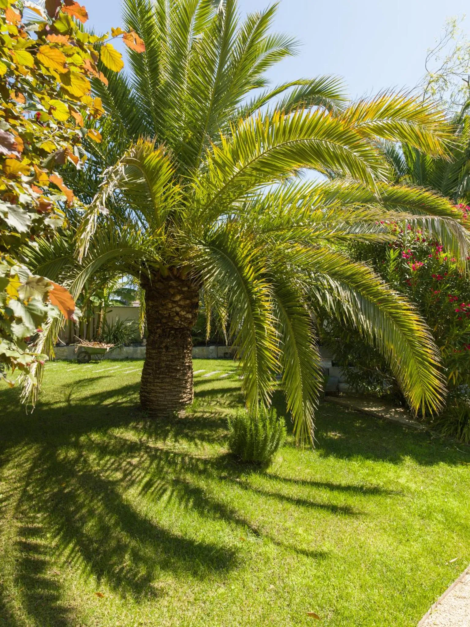 Garden in Hôtel l'Amandière