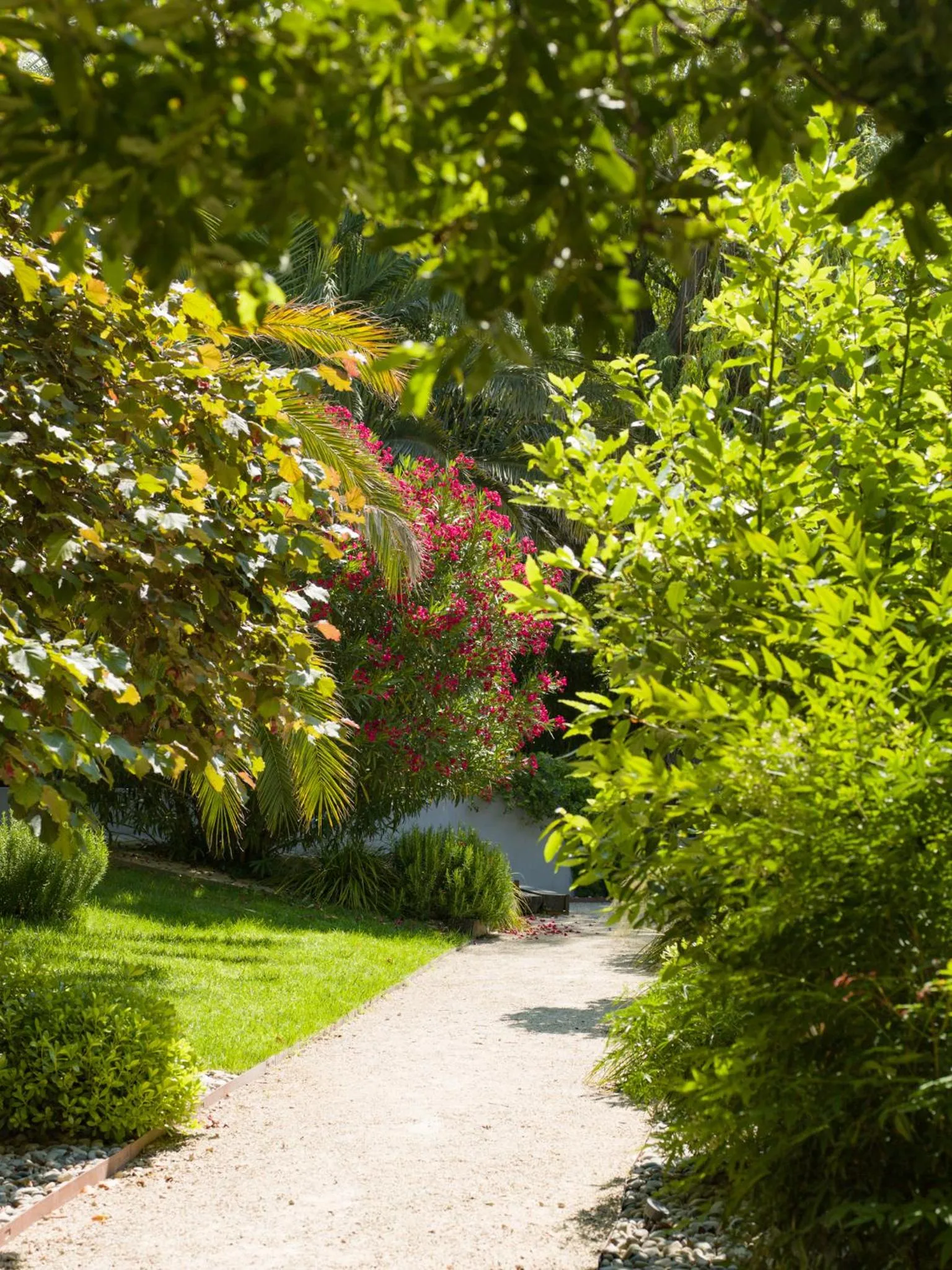 Garden in Hôtel l'Amandière