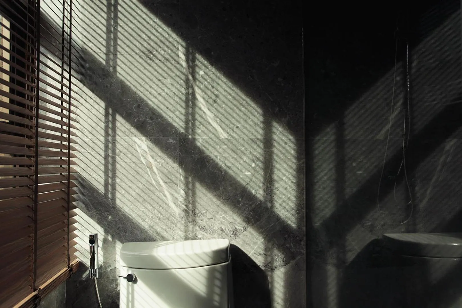 Toilet in Baanrincome