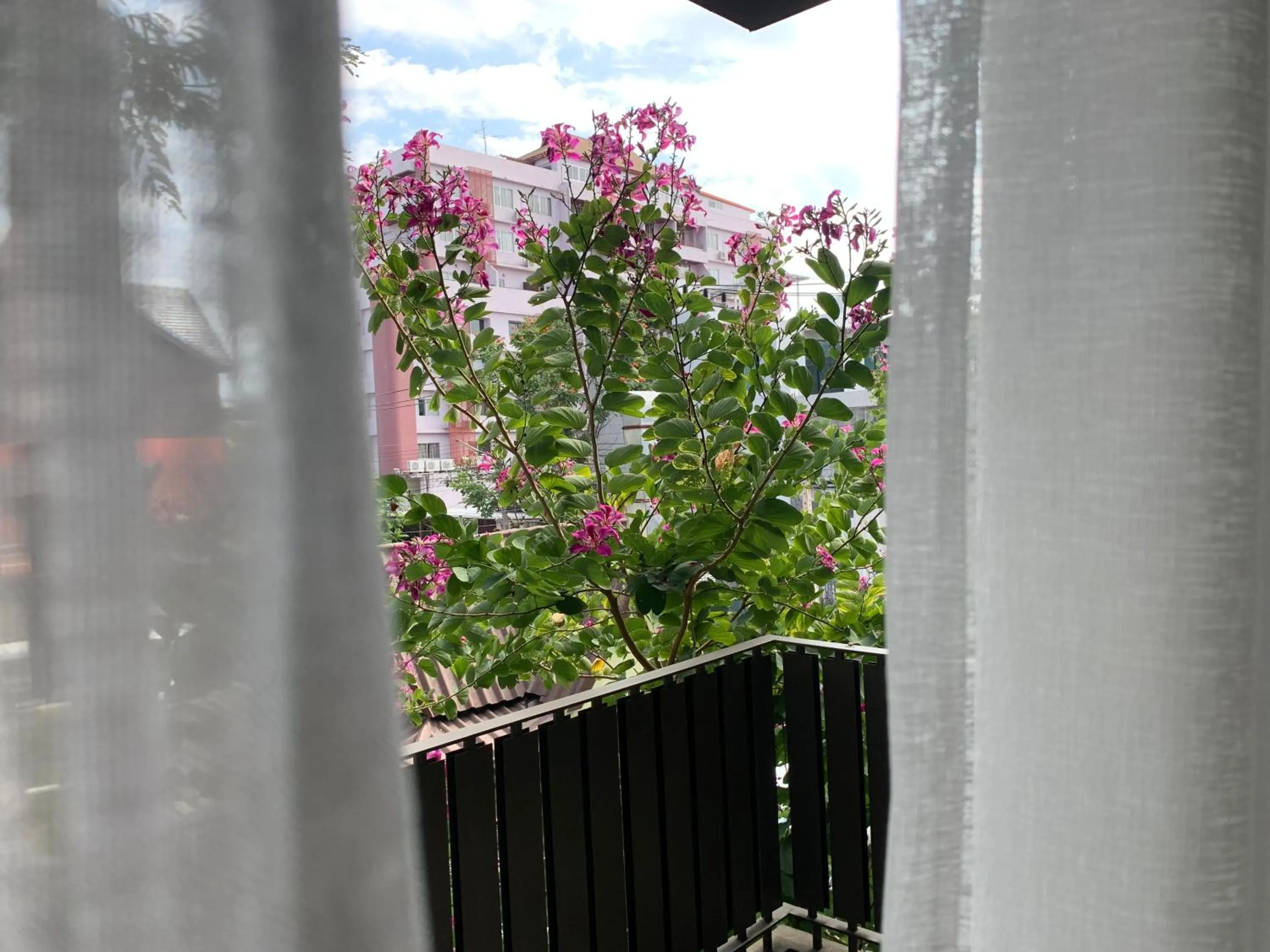 Balcony/Terrace in Baanrincome