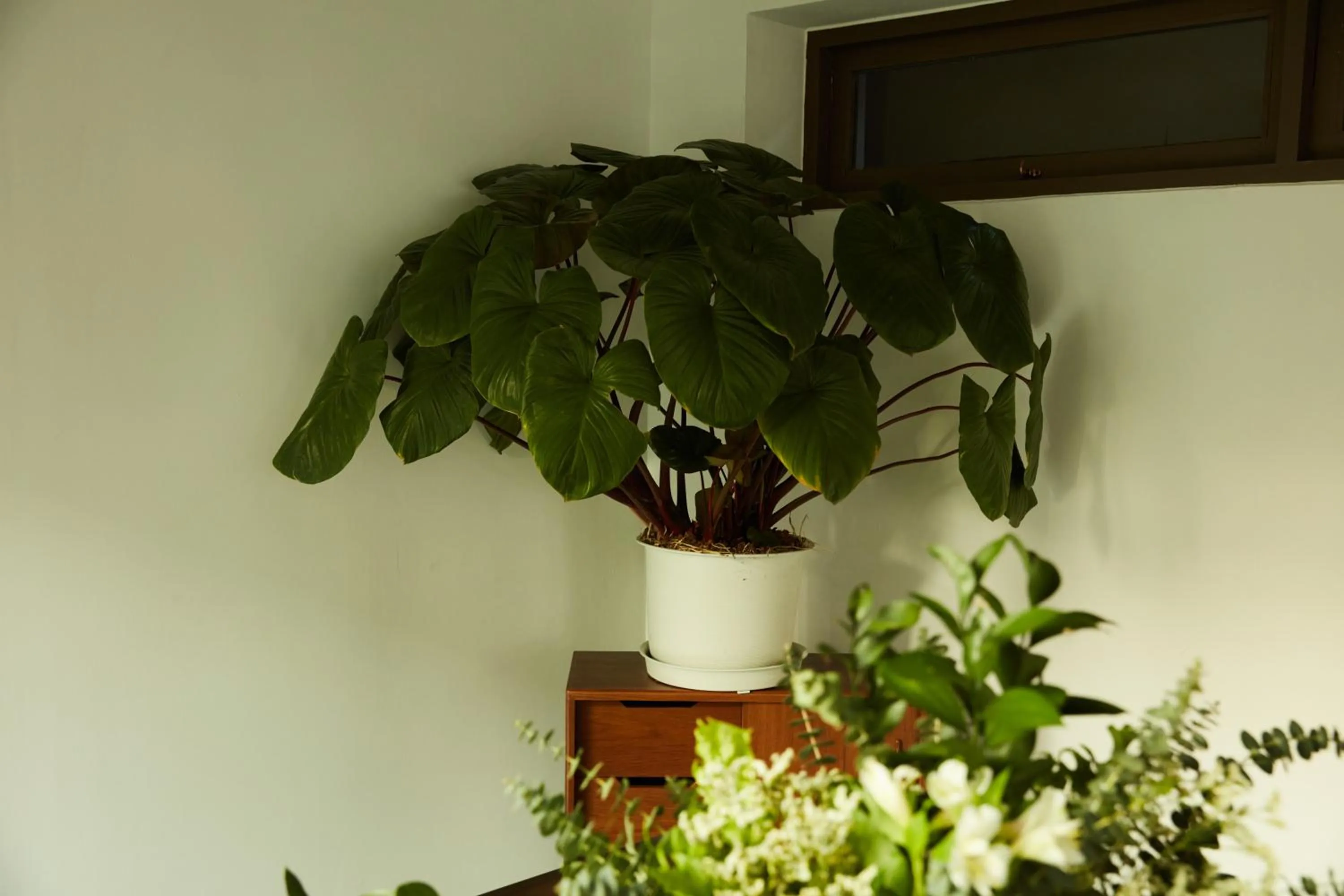 Communal lounge/ TV room in Baanrincome