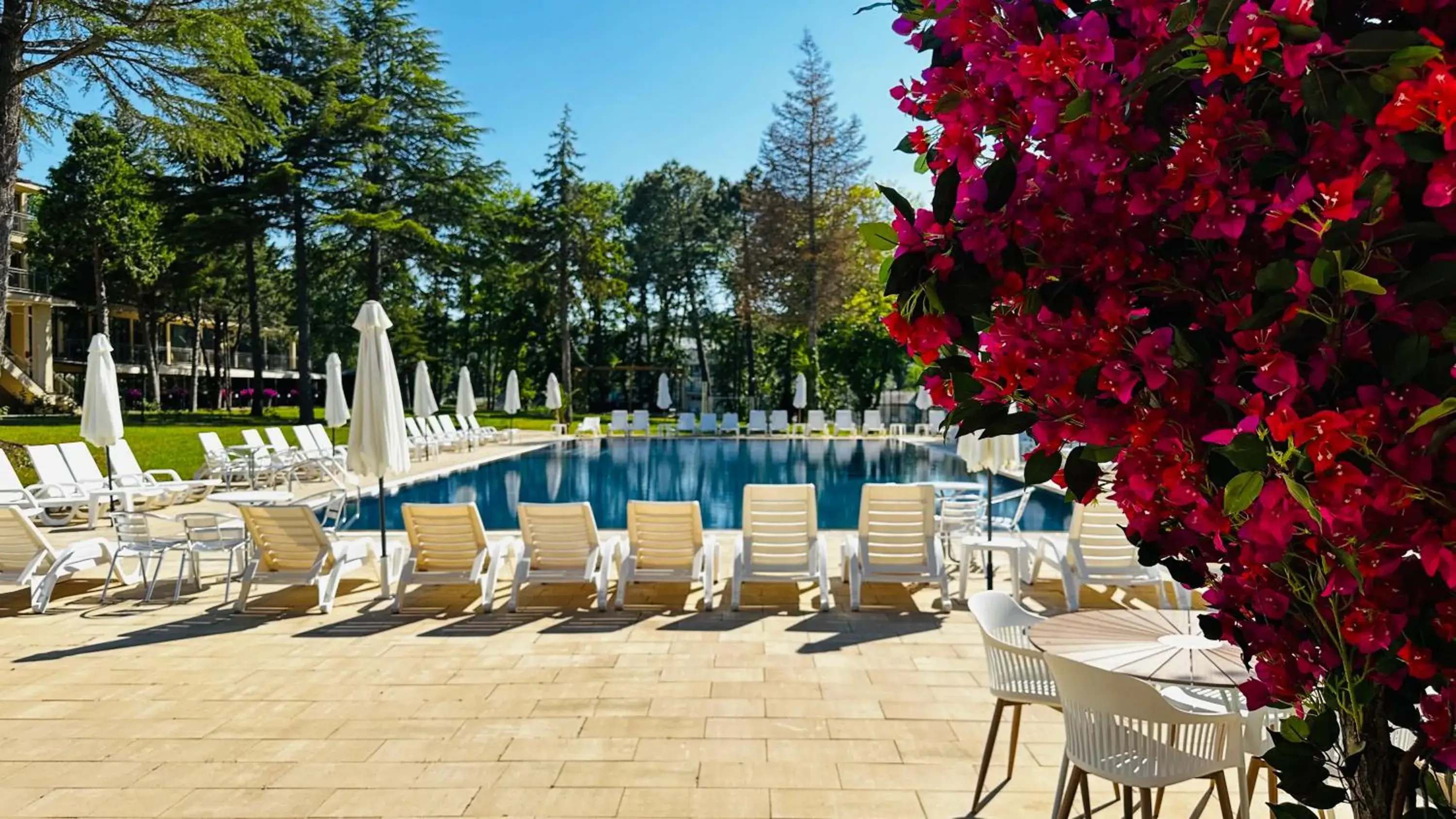 Queen Nelly Park Queen Nelly Park