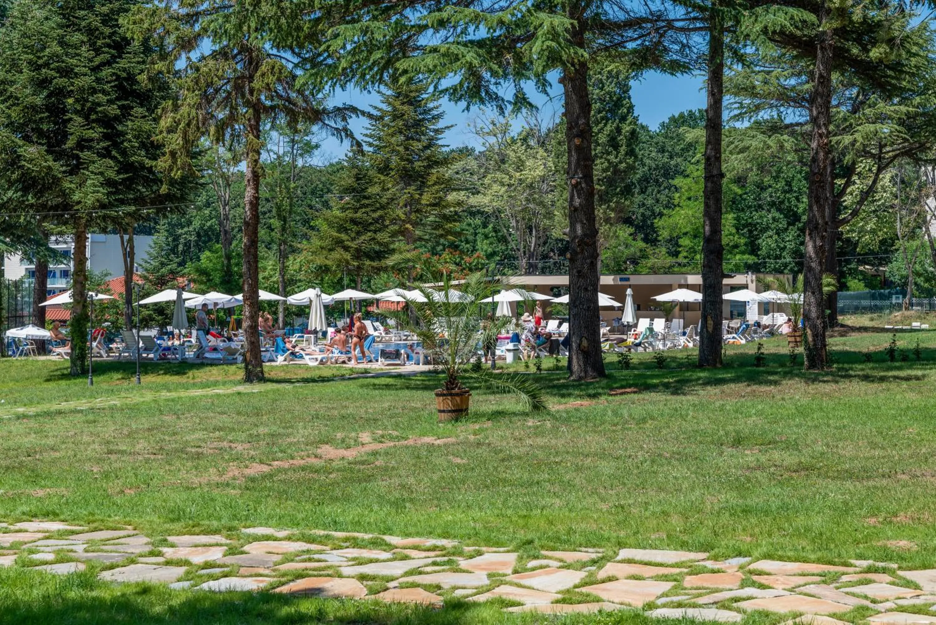 Garden in Queen Nelly Park