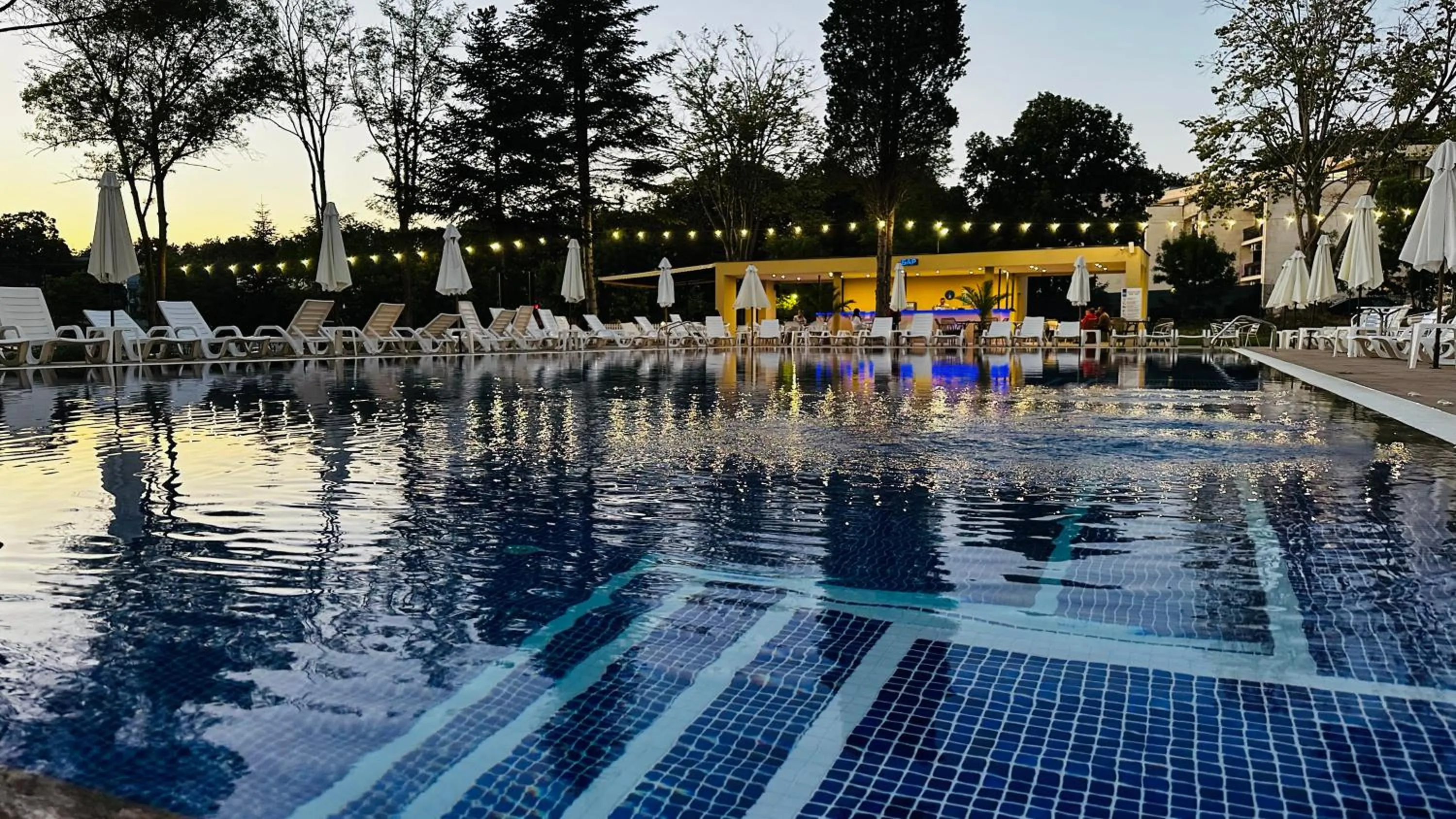 Lounge or bar in Queen Nelly Park