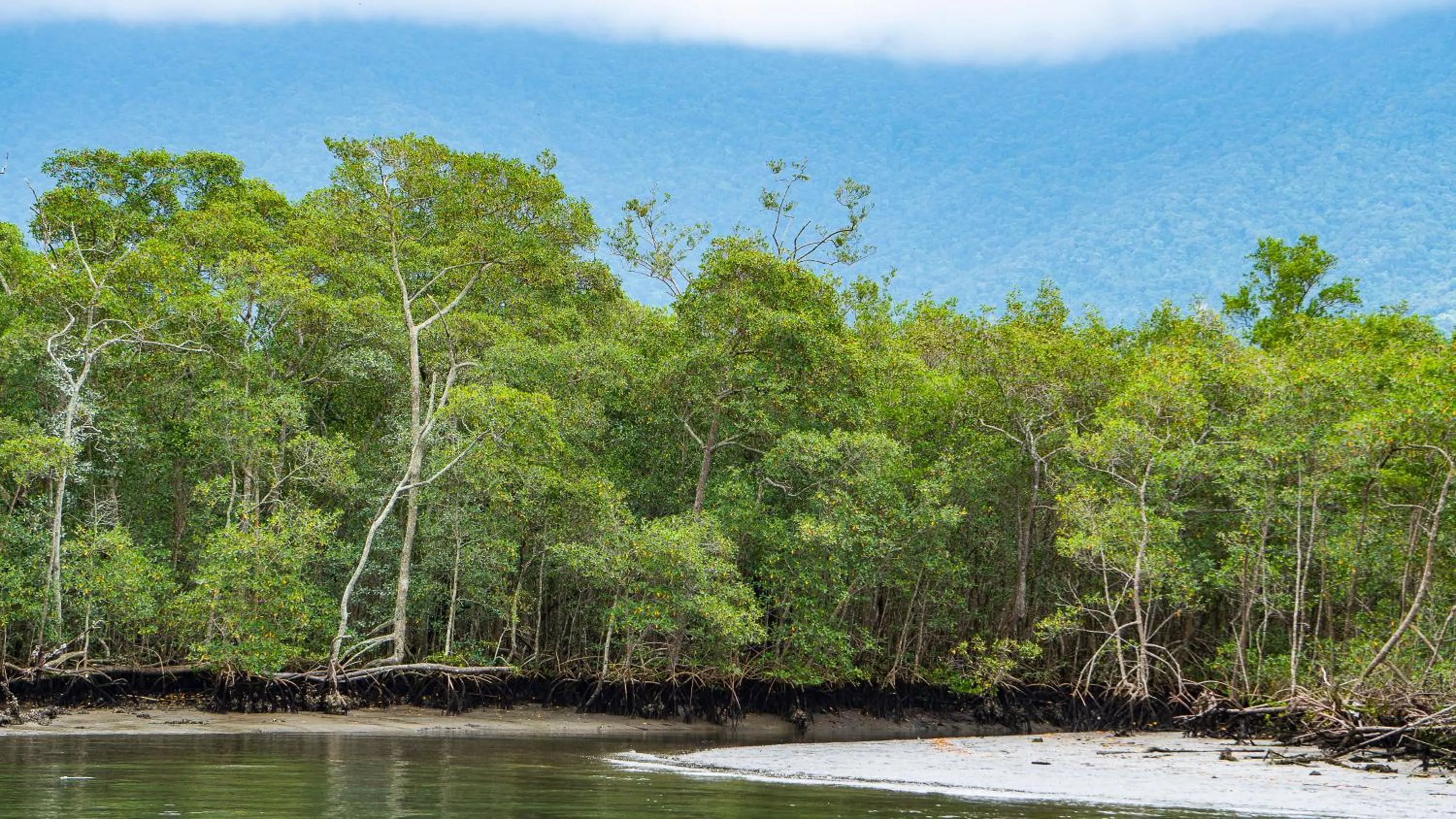 Natural landscape in Pousada Cadiz - Piscina Climatizada