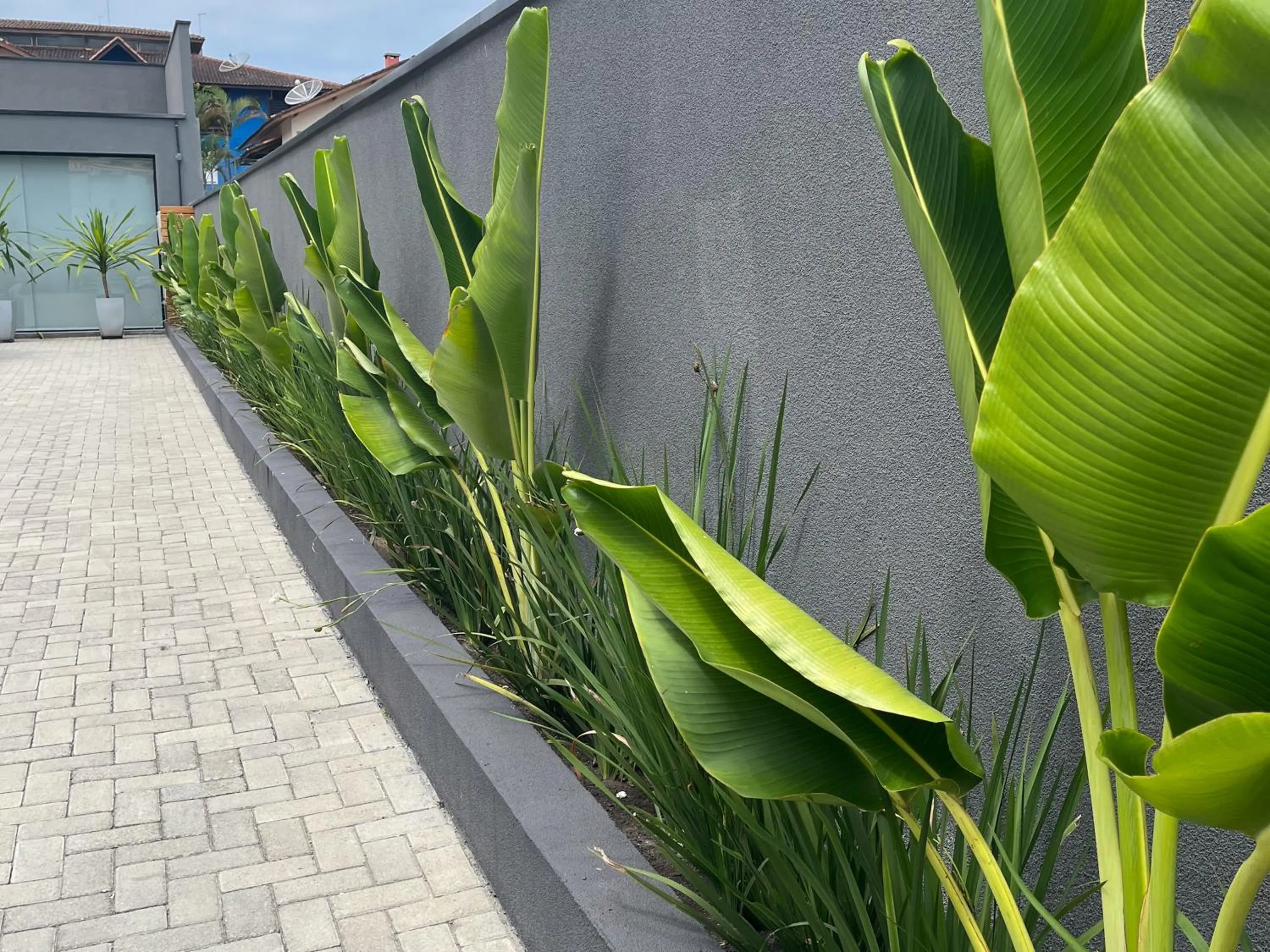 Garden in Pousada Cadiz - Piscina Climatizada