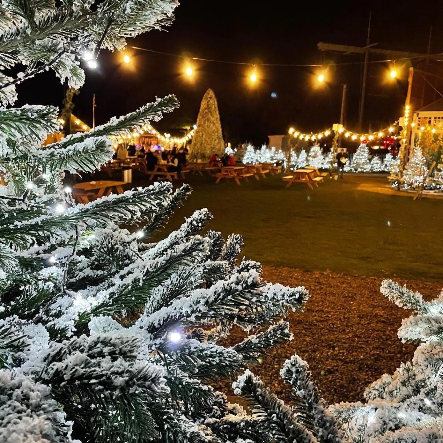 Winter in Tattershall Lakes Mini Breaks - Osprey Rise