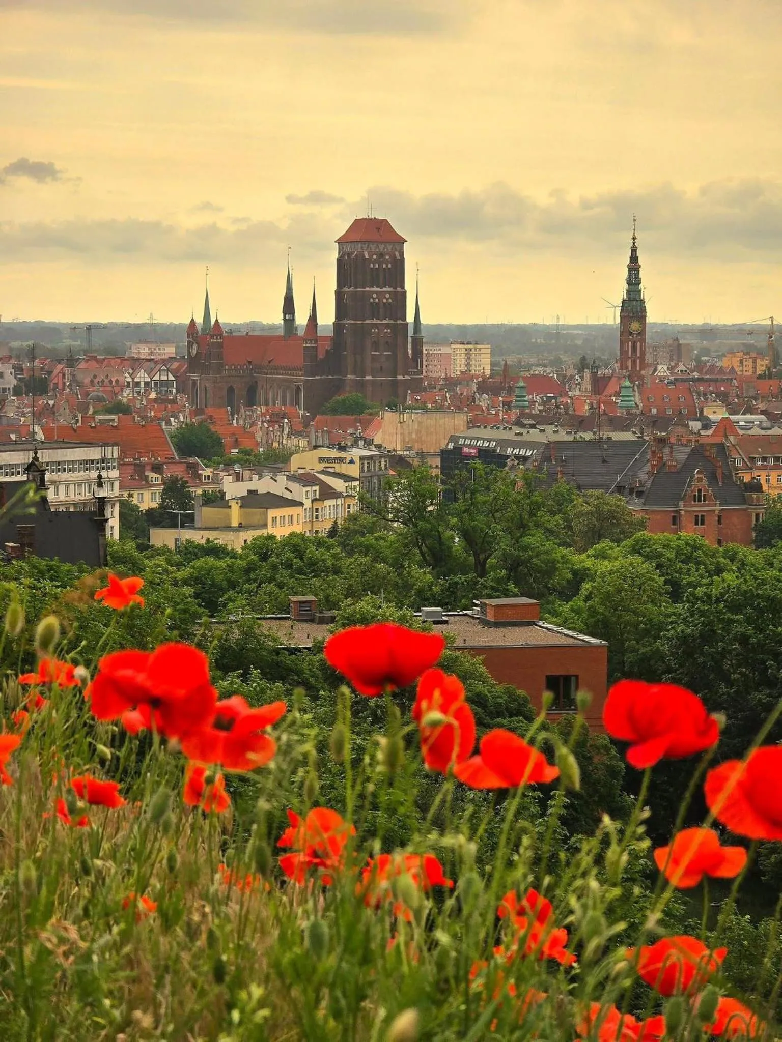 Nearby landmark in Baltic Gdańsk OLD TOWN by St Mary s Church