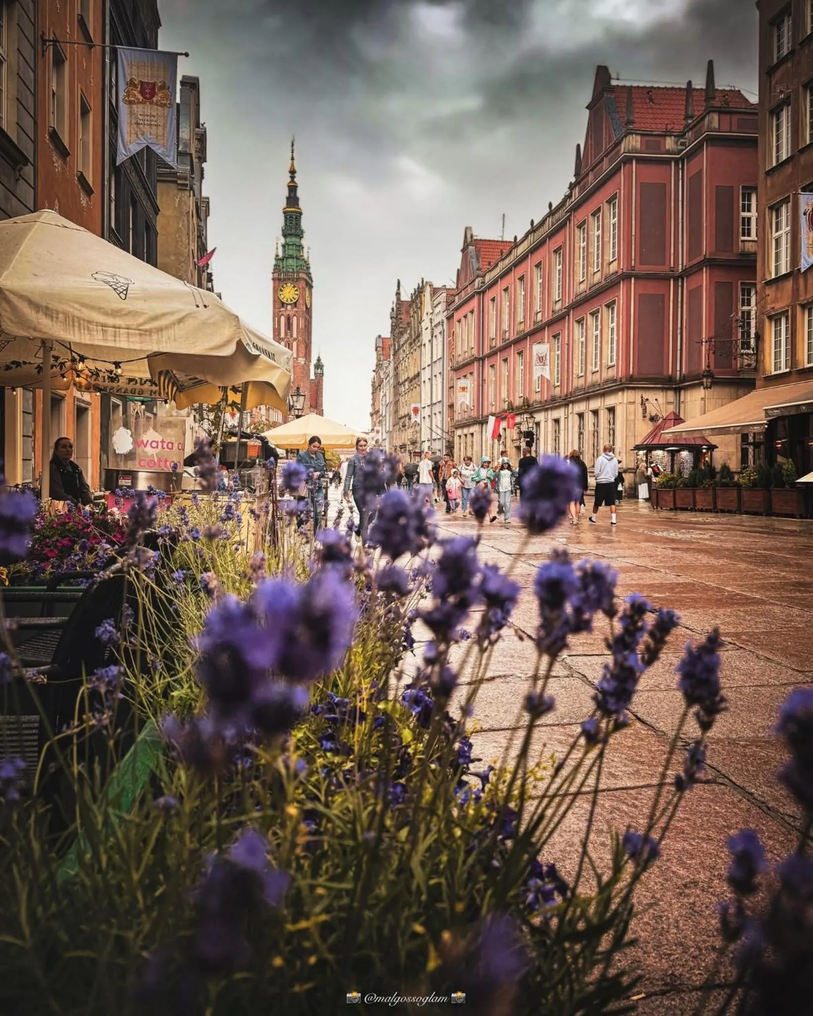 Property building in Baltic Gdańsk OLD TOWN by St Mary s Church