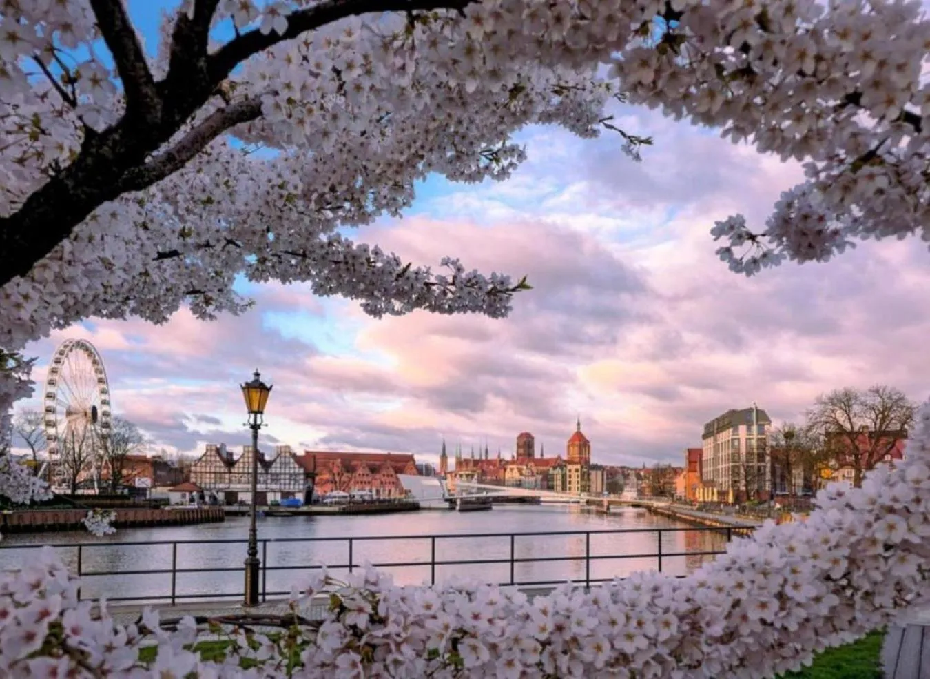 Nearby landmark in Baltic Gdańsk OLD TOWN by St Mary s Church