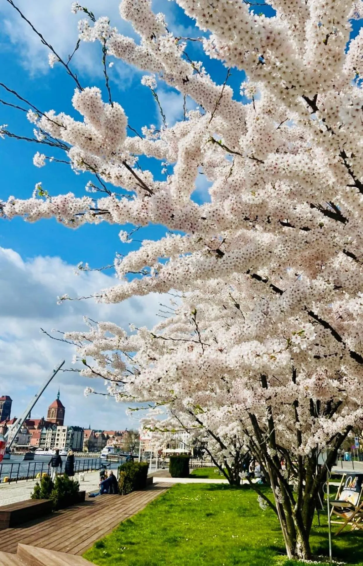 Spring in Baltic Gdańsk OLD TOWN by St Mary s Church