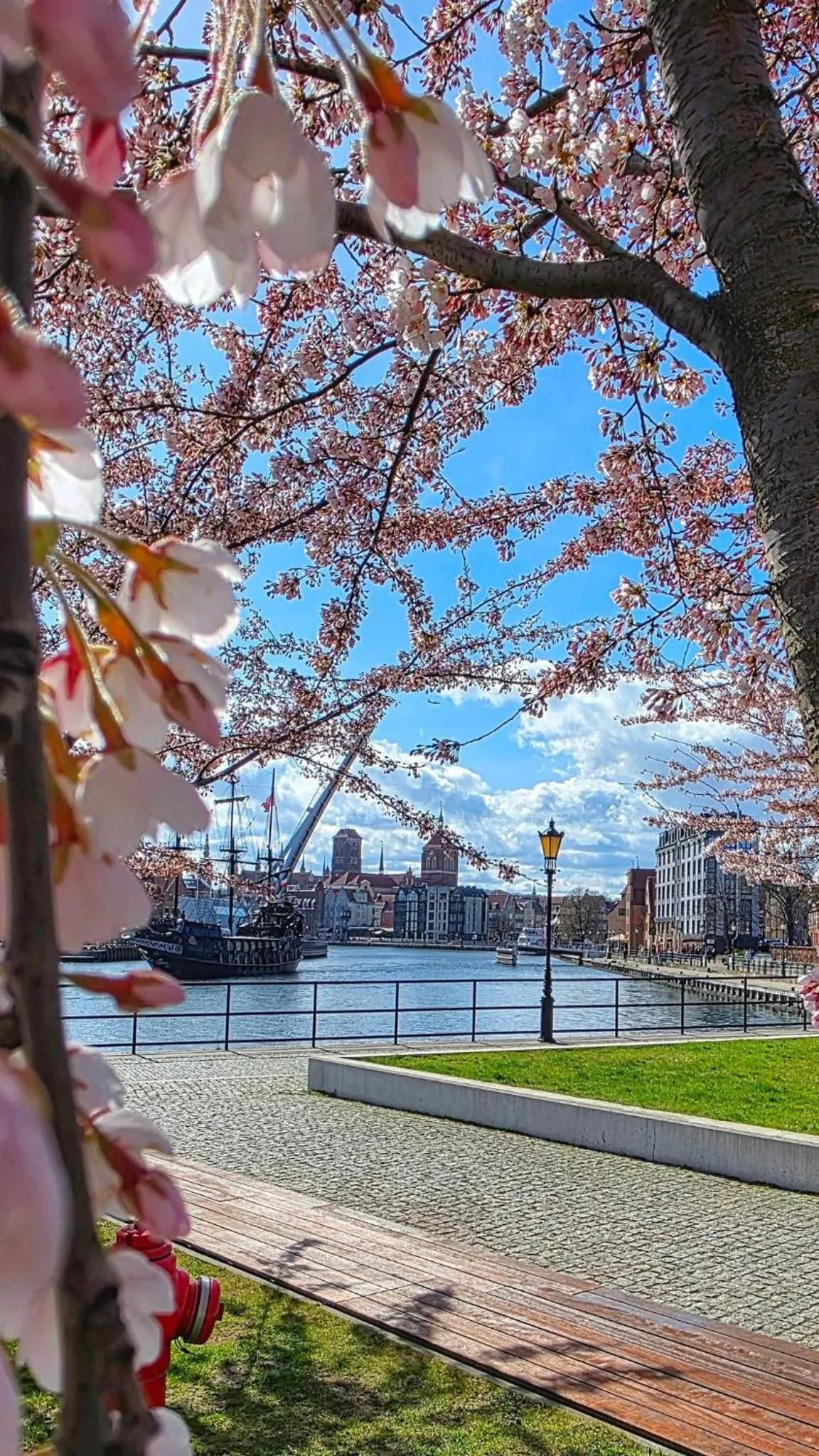 Property building in Baltic Gdańsk OLD TOWN by St Mary s Church