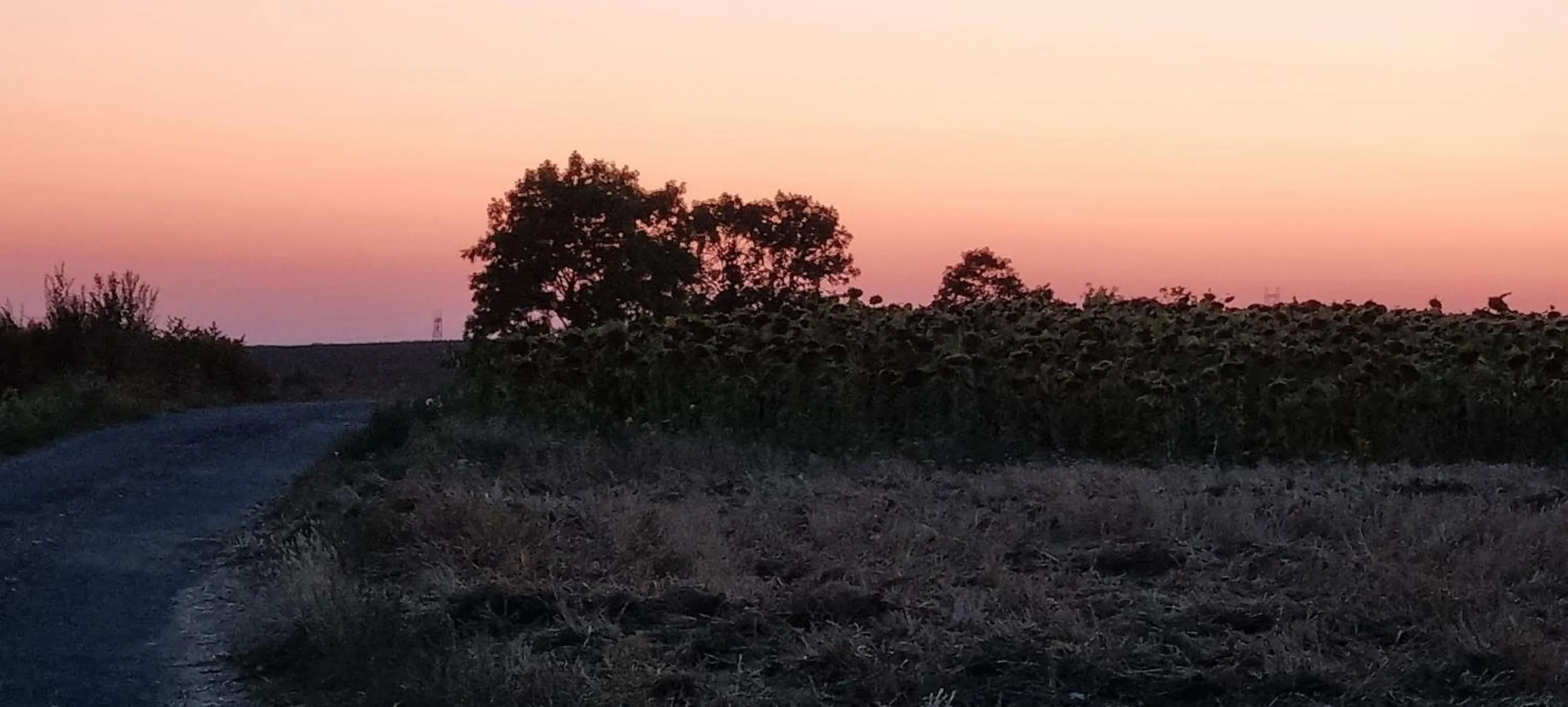 Day in Les Glycines de Monchy- Chambres d'hôtes