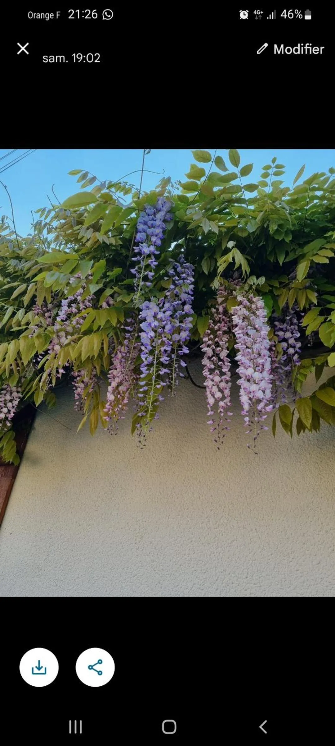 Facade/entrance in Les Glycines de Monchy- Chambres d'hôtes
