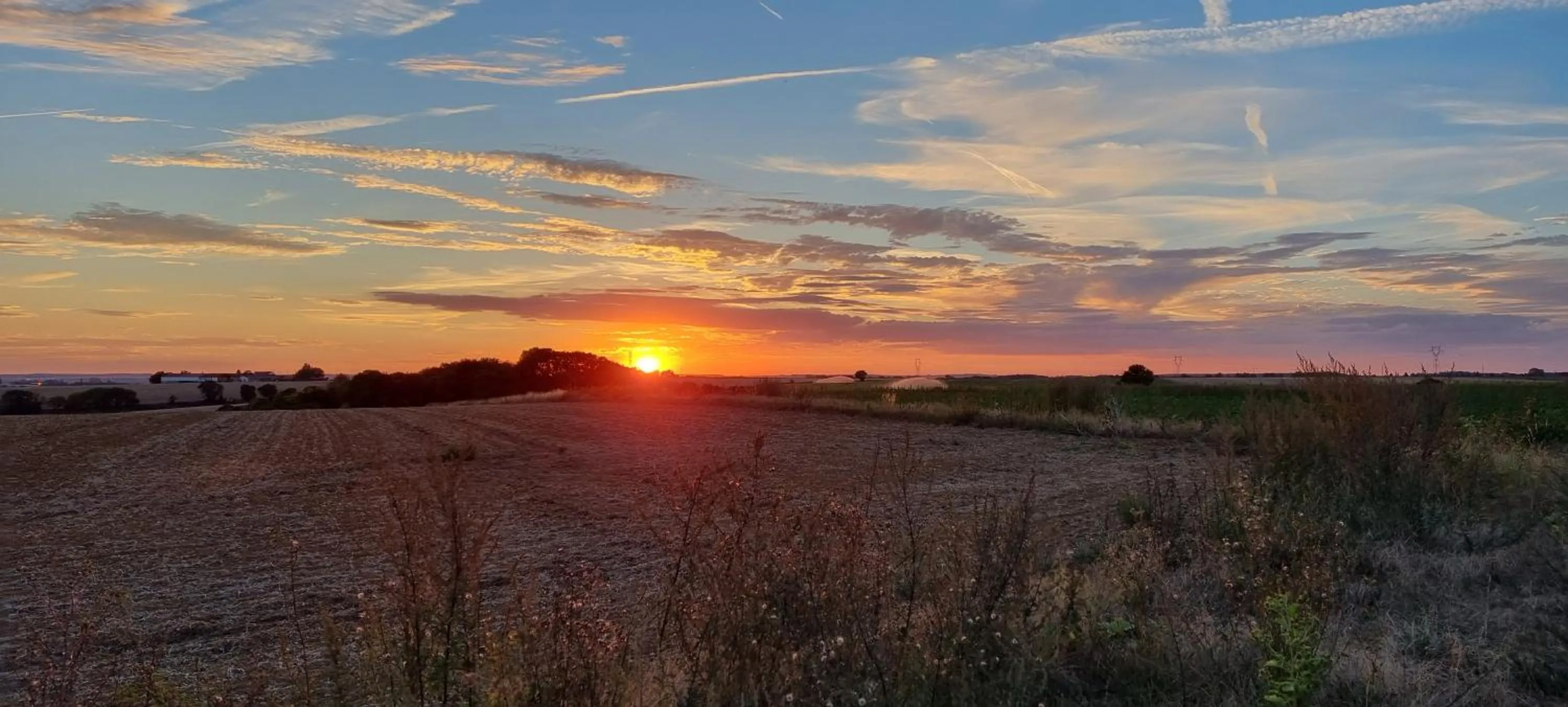 Natural landscape in Les Glycines de Monchy- Chambres d'hôtes
