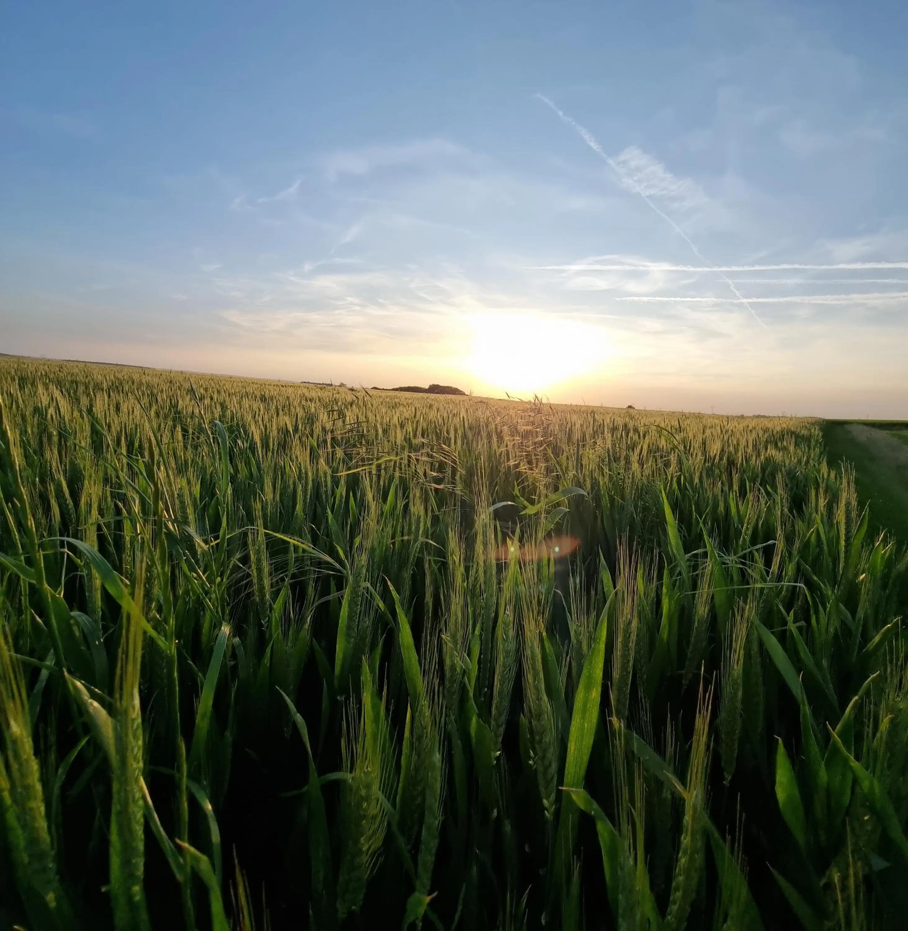 Spring in Les Glycines de Monchy- Chambres d'hôtes
