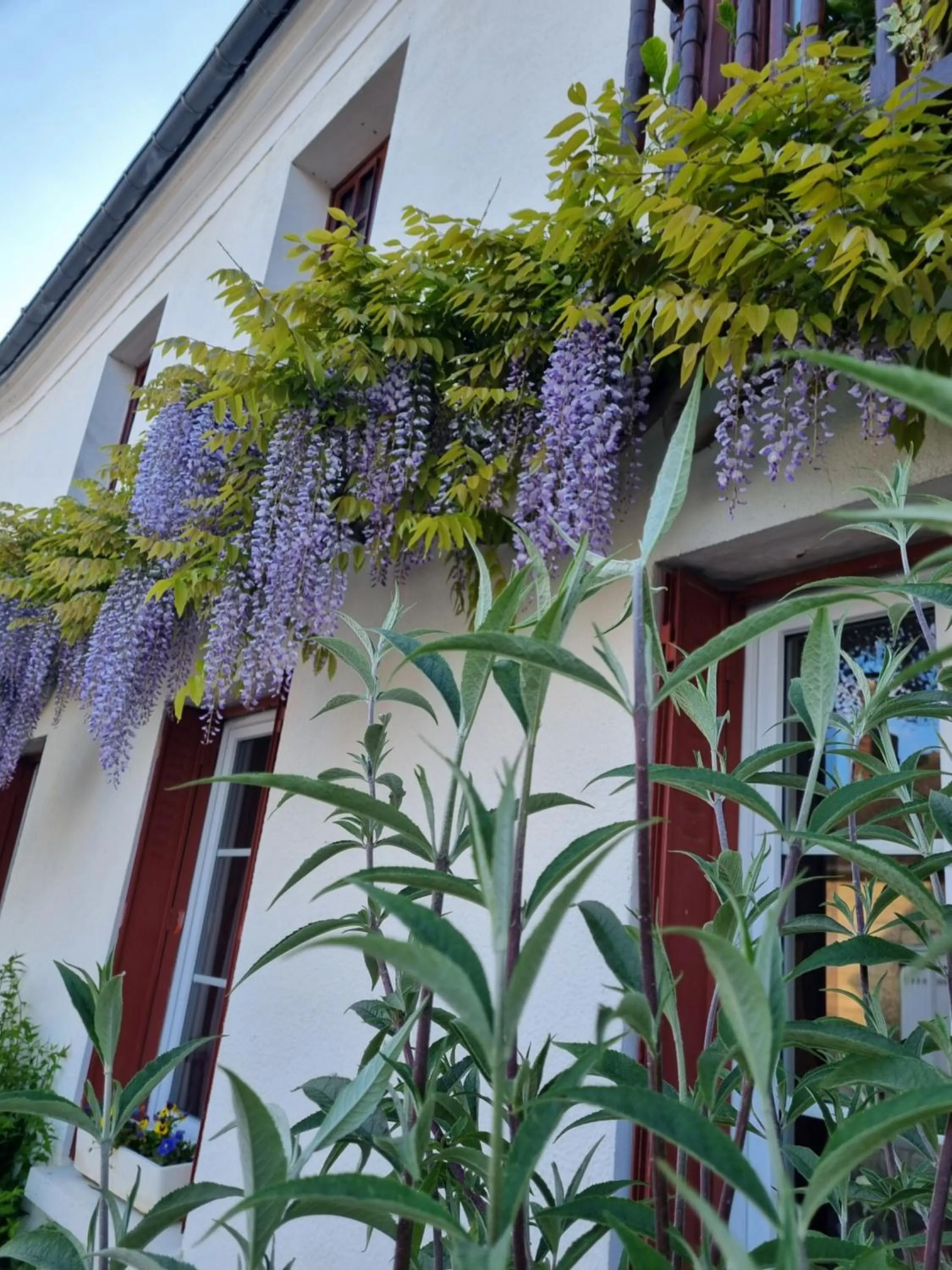 Facade/entrance in Les Glycines de Monchy- Chambres d'hôtes