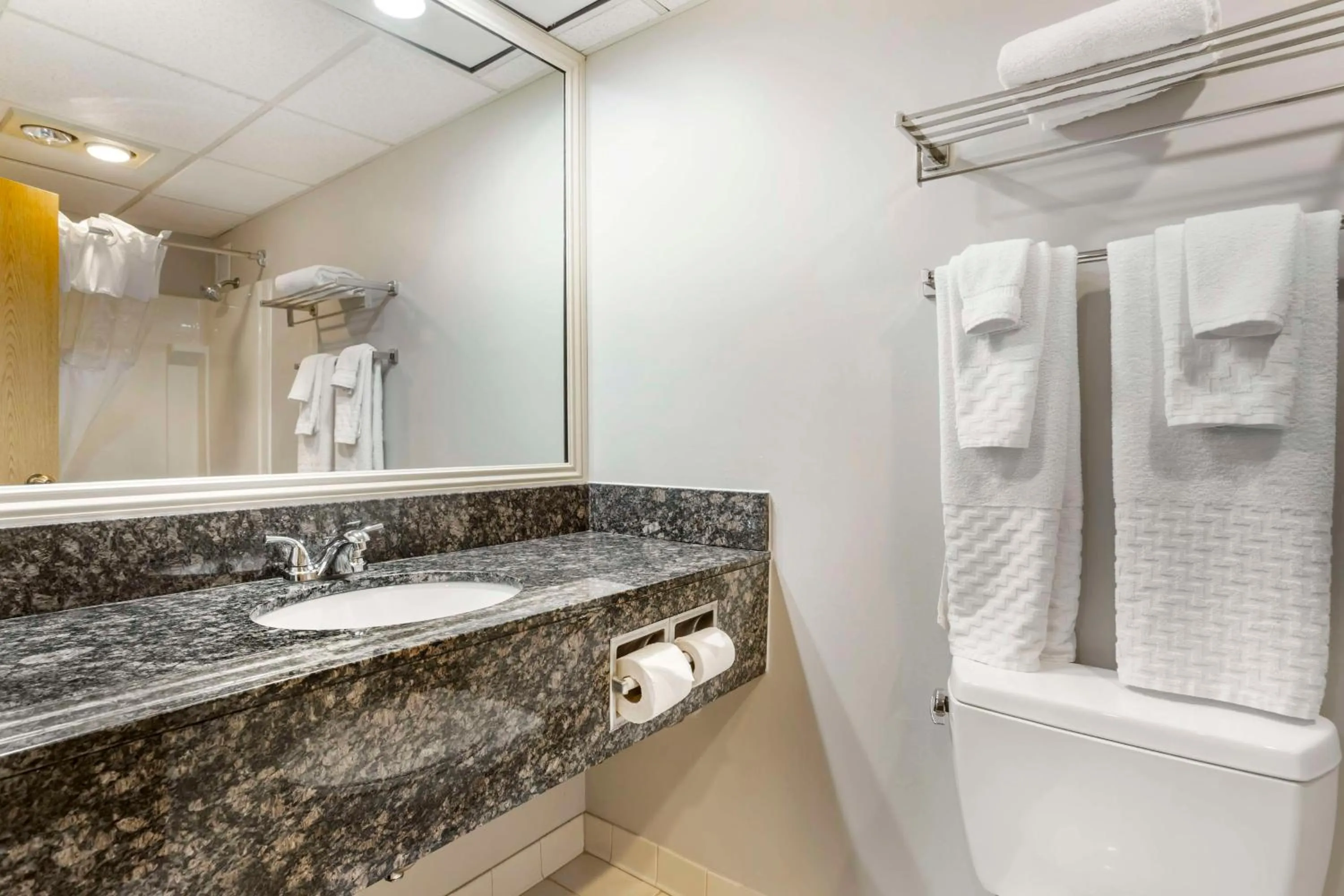 Bathroom in Best Western Danbury/Bethel