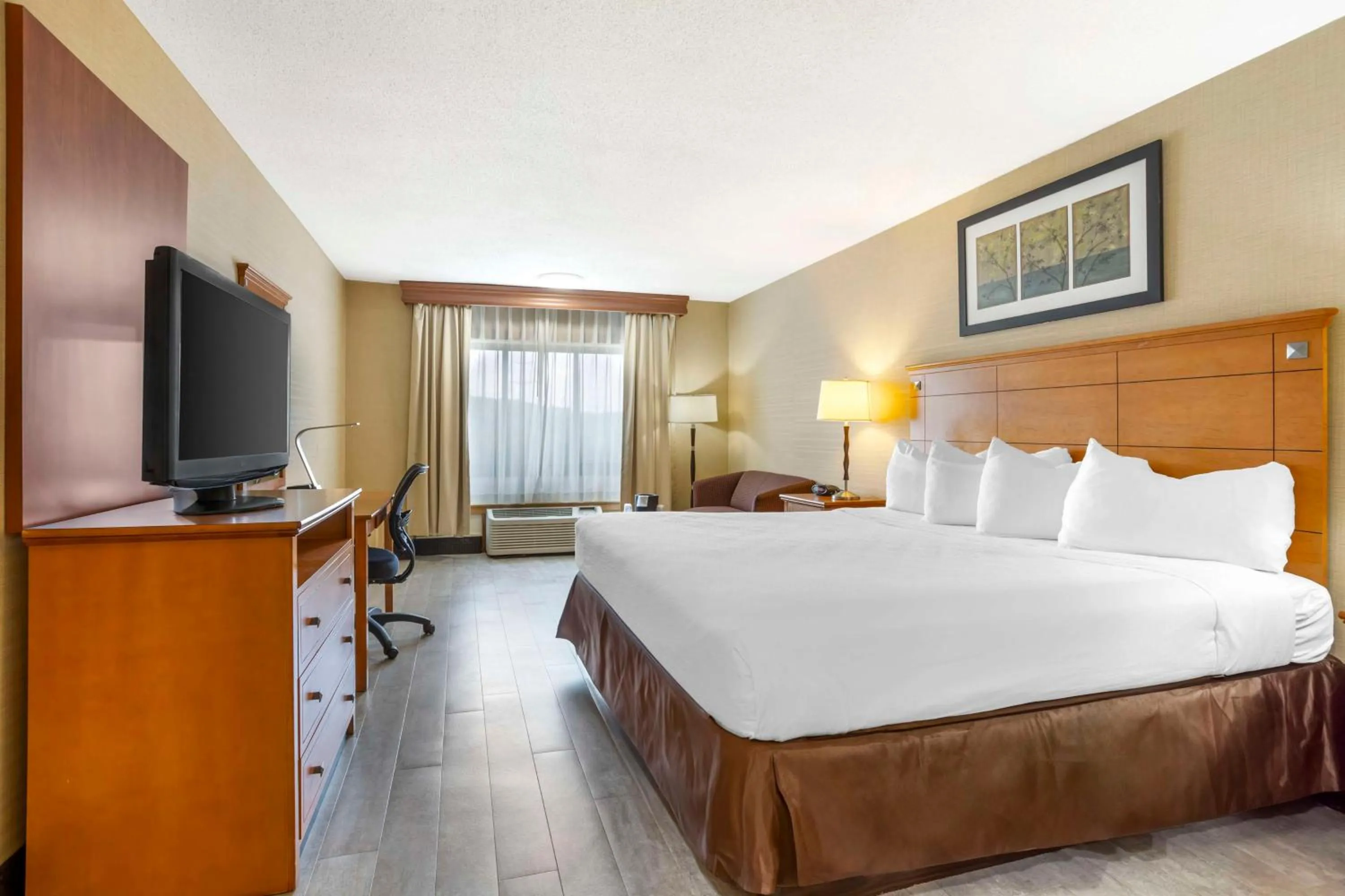 Bedroom in Best Western Danbury/Bethel