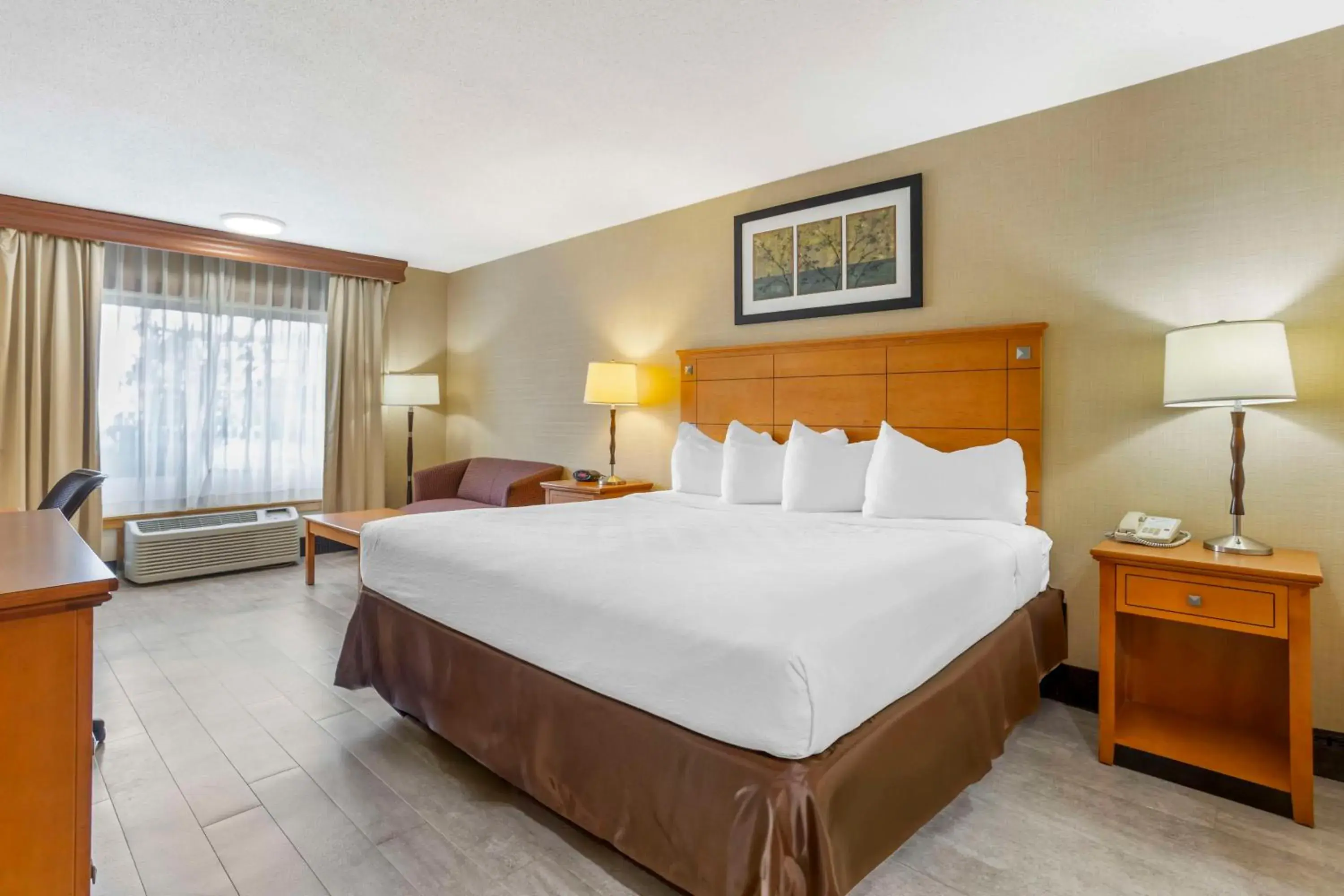 Queen Room with Bathtub - Disability Access in Best Western Danbury/Bethel Queen Room with Bathtub - Disability Access in Best Western Danbury/Bethel