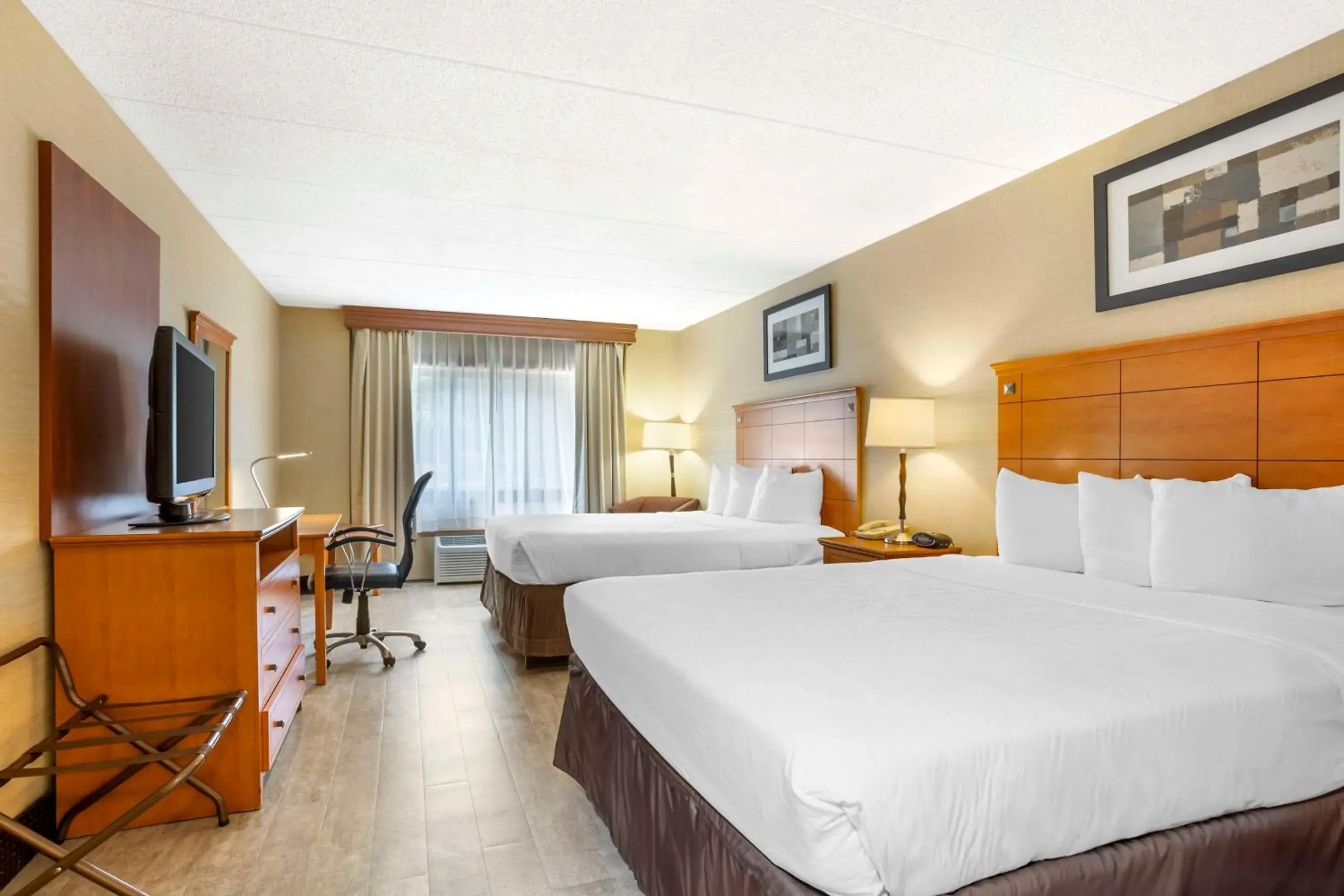 Bedroom in Best Western Danbury/Bethel Bedroom in Best Western Danbury/Bethel