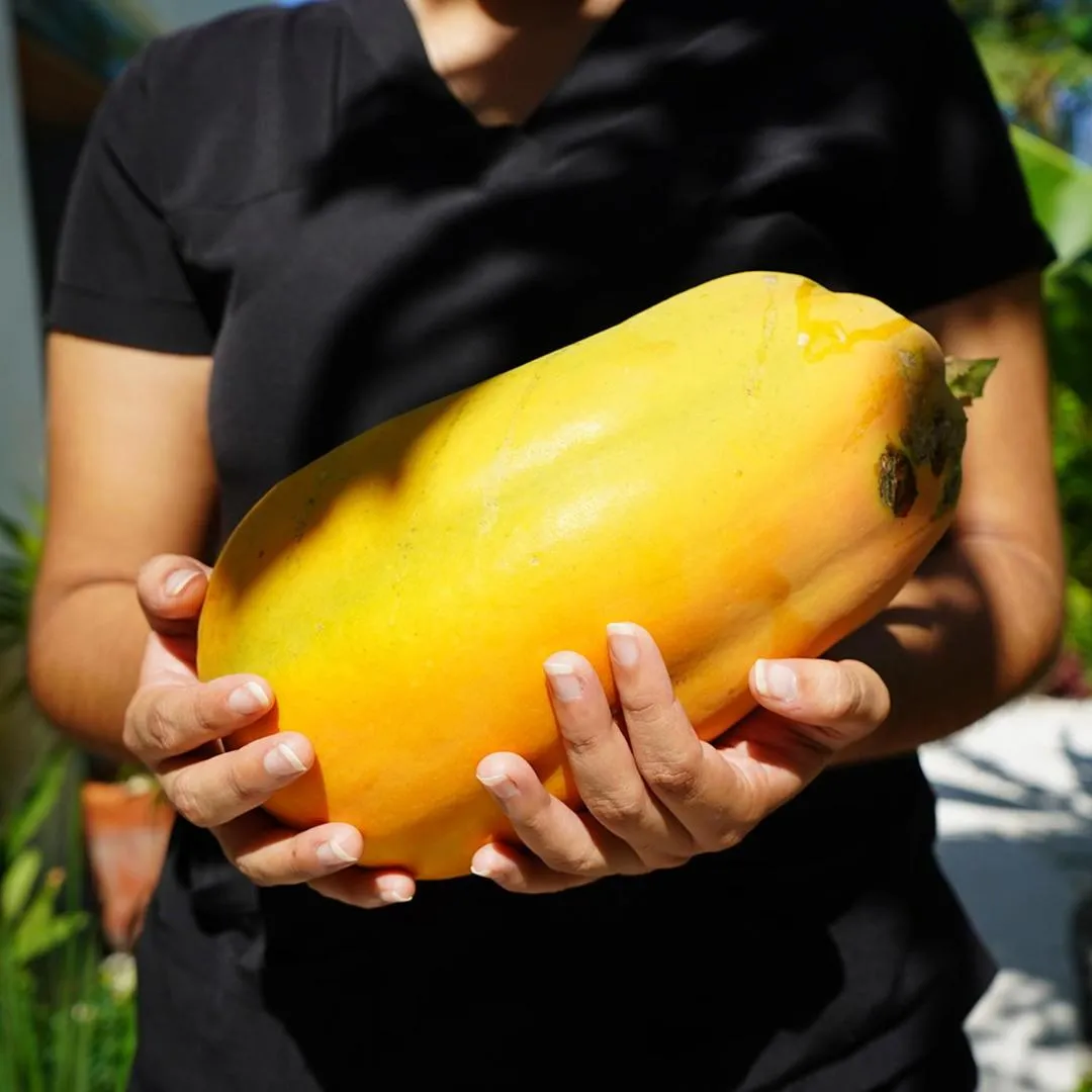 Xkan Hotel Boutique - Adults Only