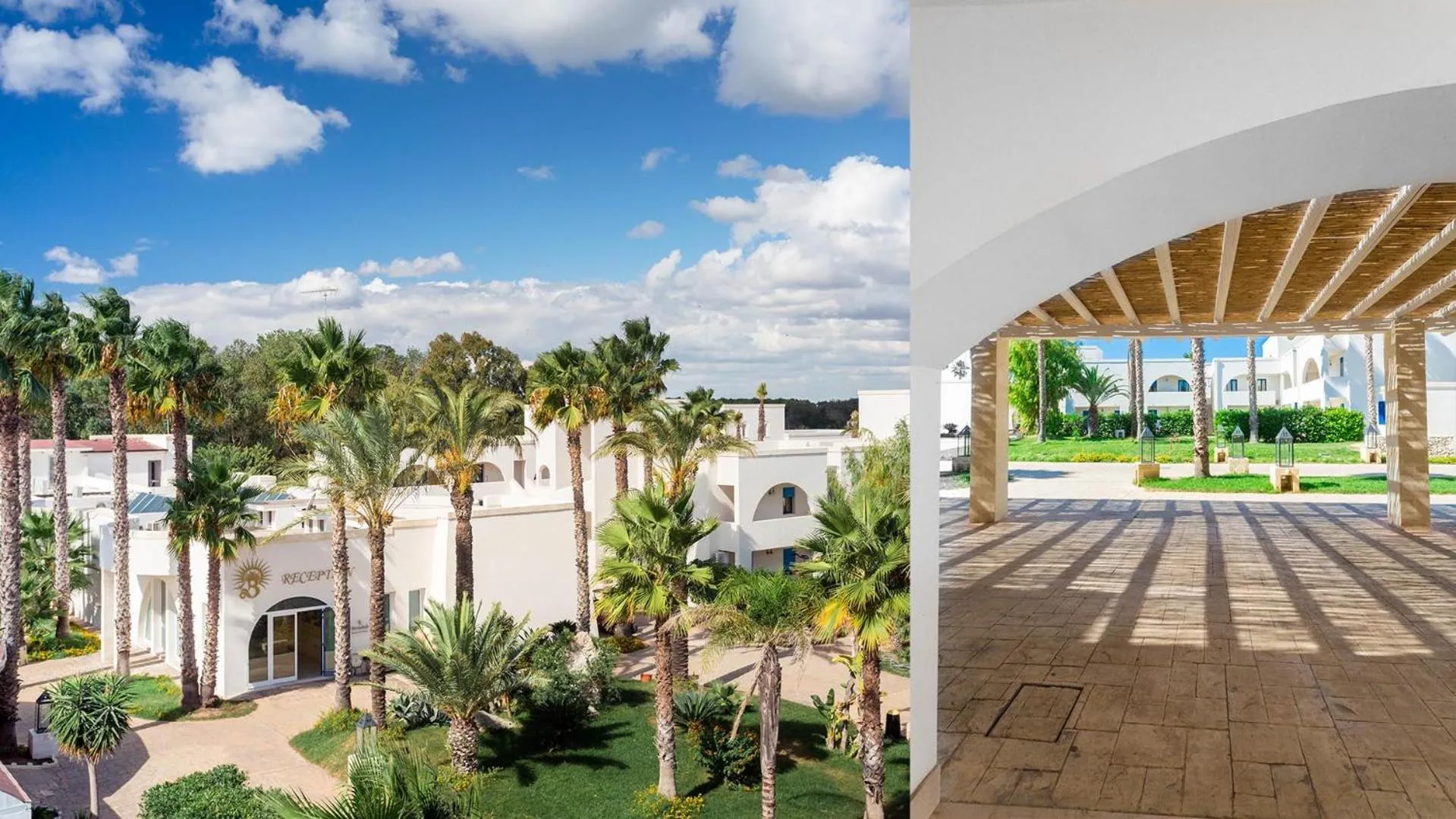 Garden in HOTEL BARONE DI MARE