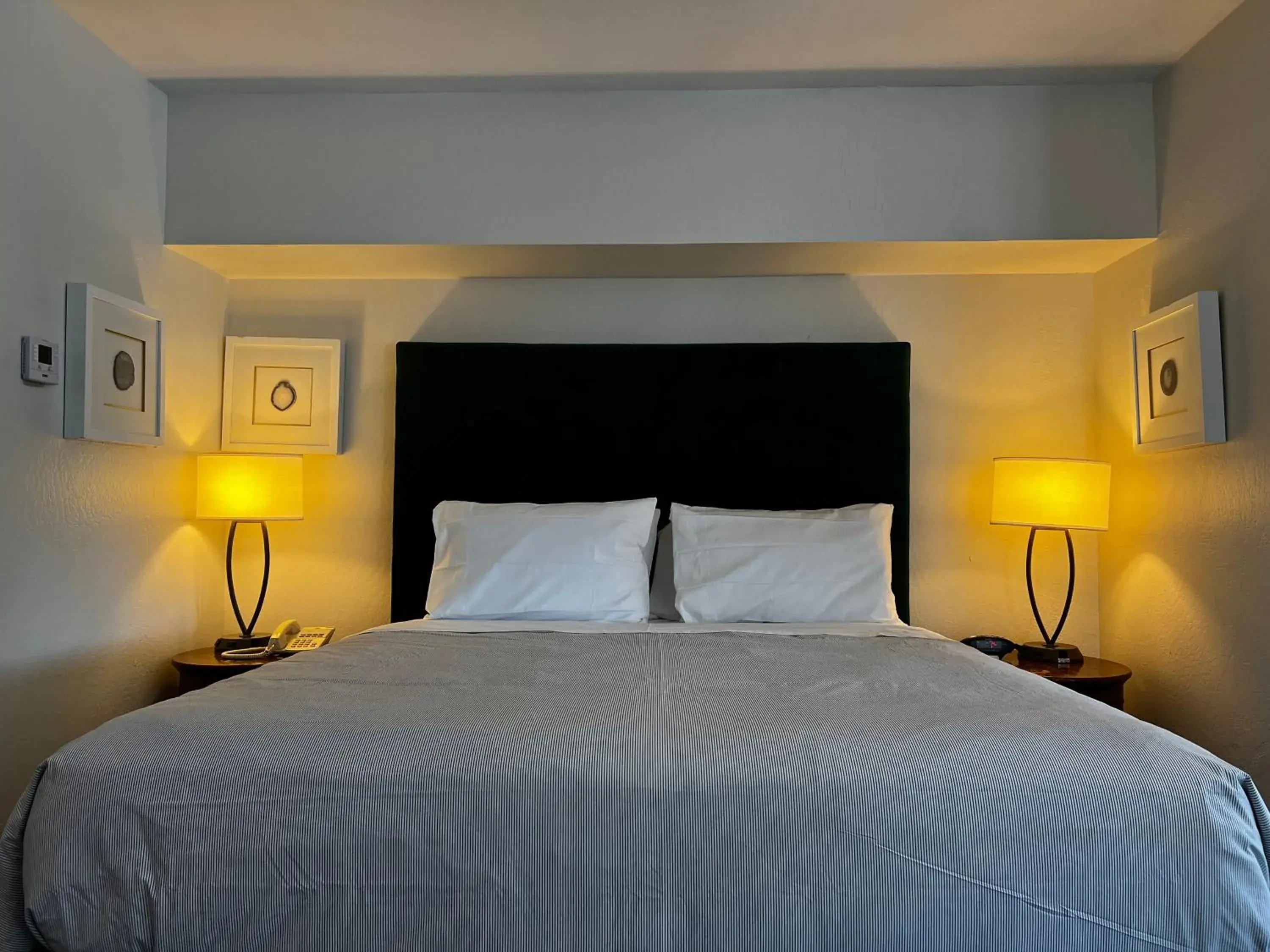 Junior Suite in Sterling Hotel Junior Suite in Sterling Hotel