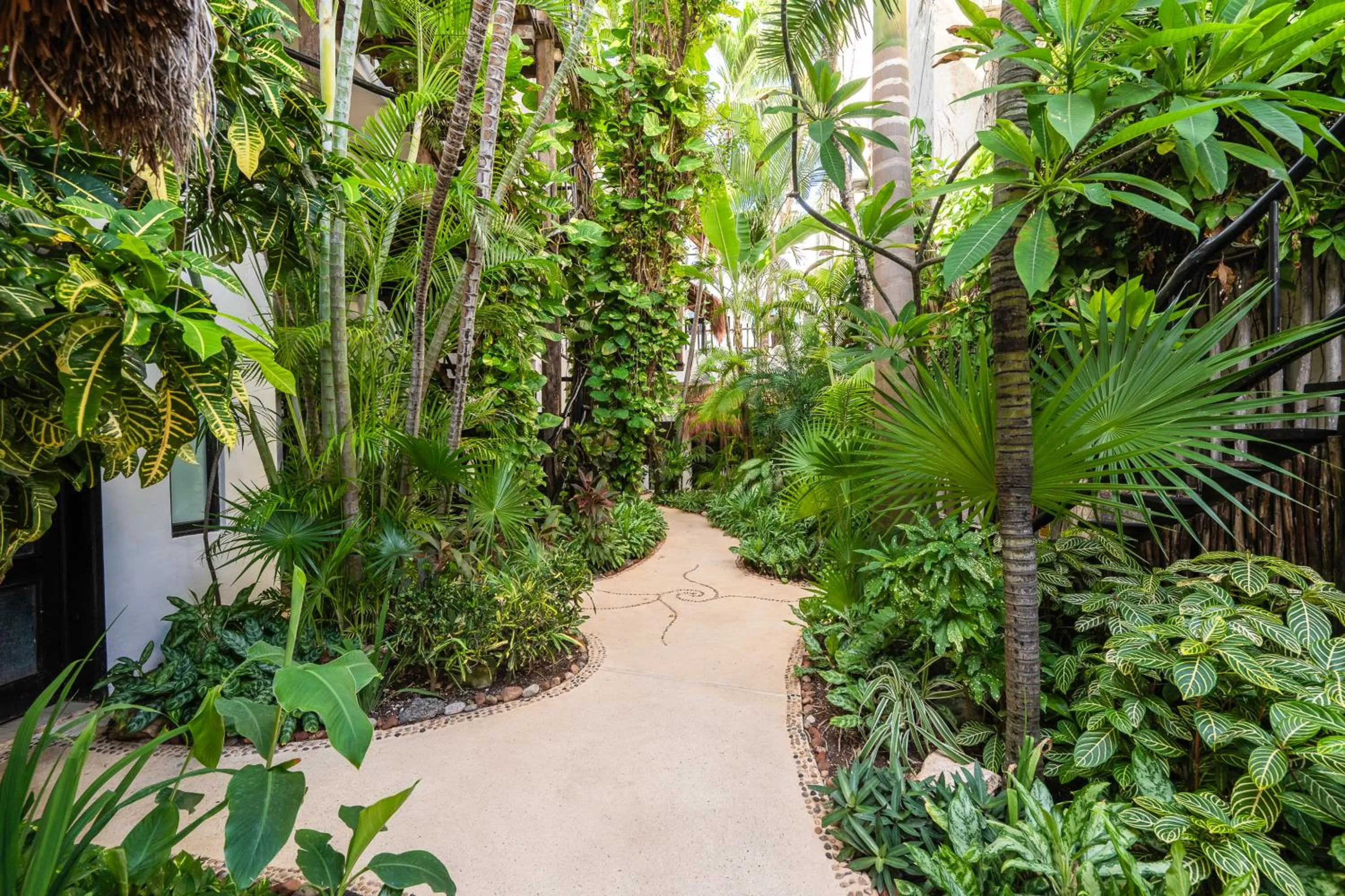 Garden in Kinbe Hotel Boutique