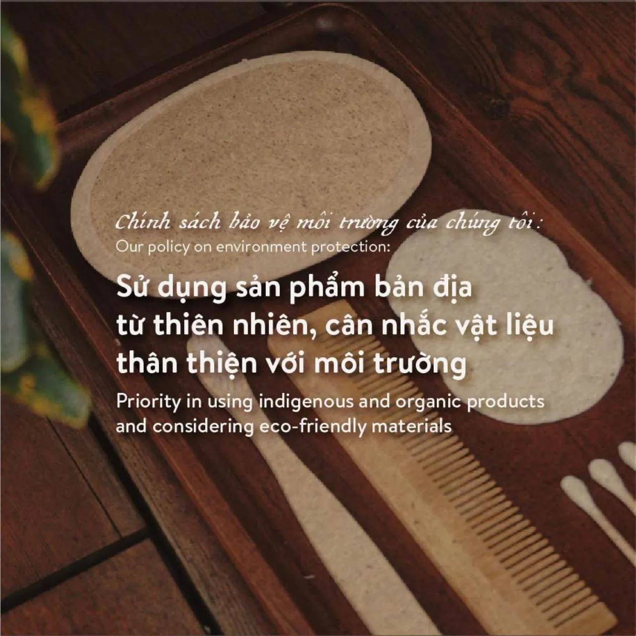 Logo/Certificate/Sign in Amanaki Thao Dien