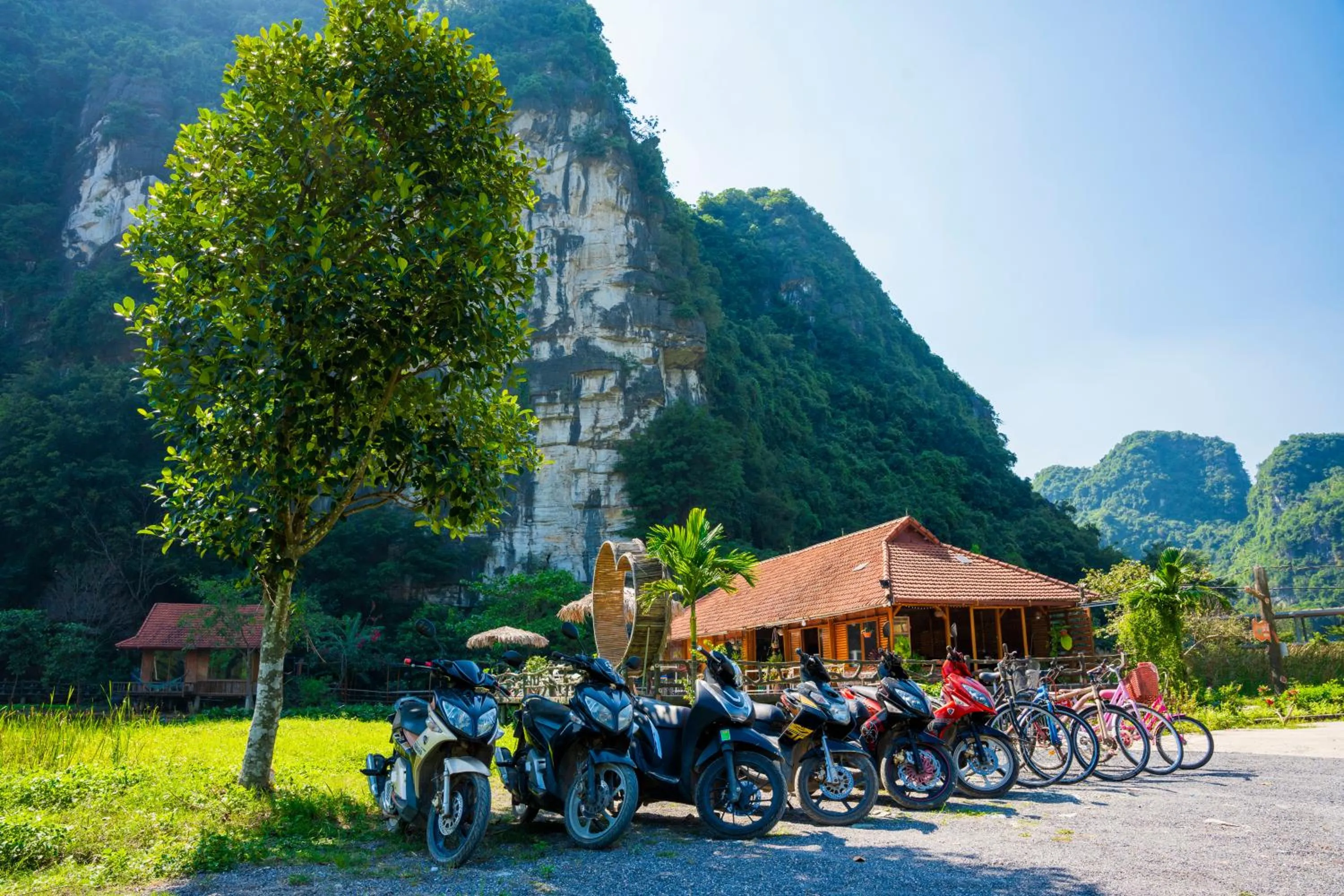Cycling in Lotus Field Homestay