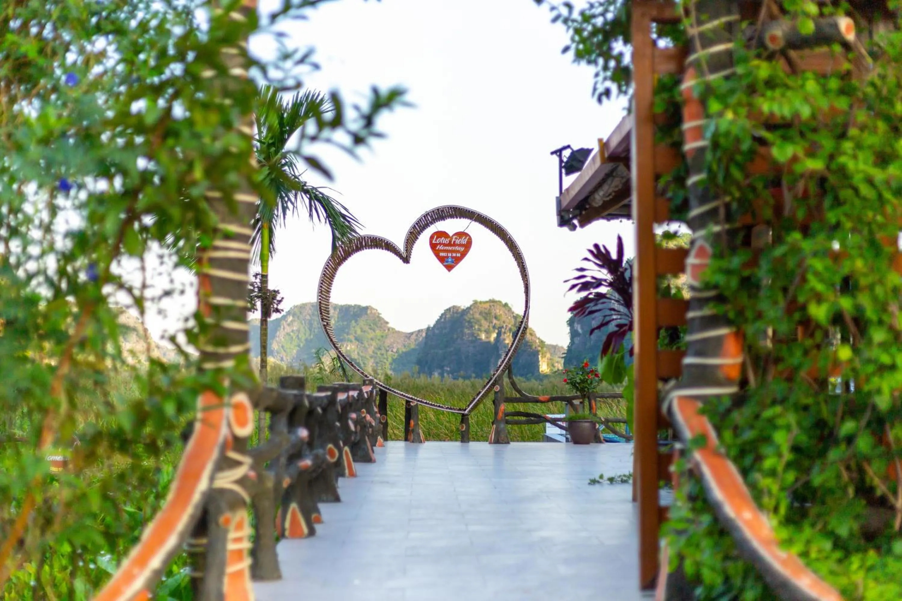 Day in Lotus Field Homestay